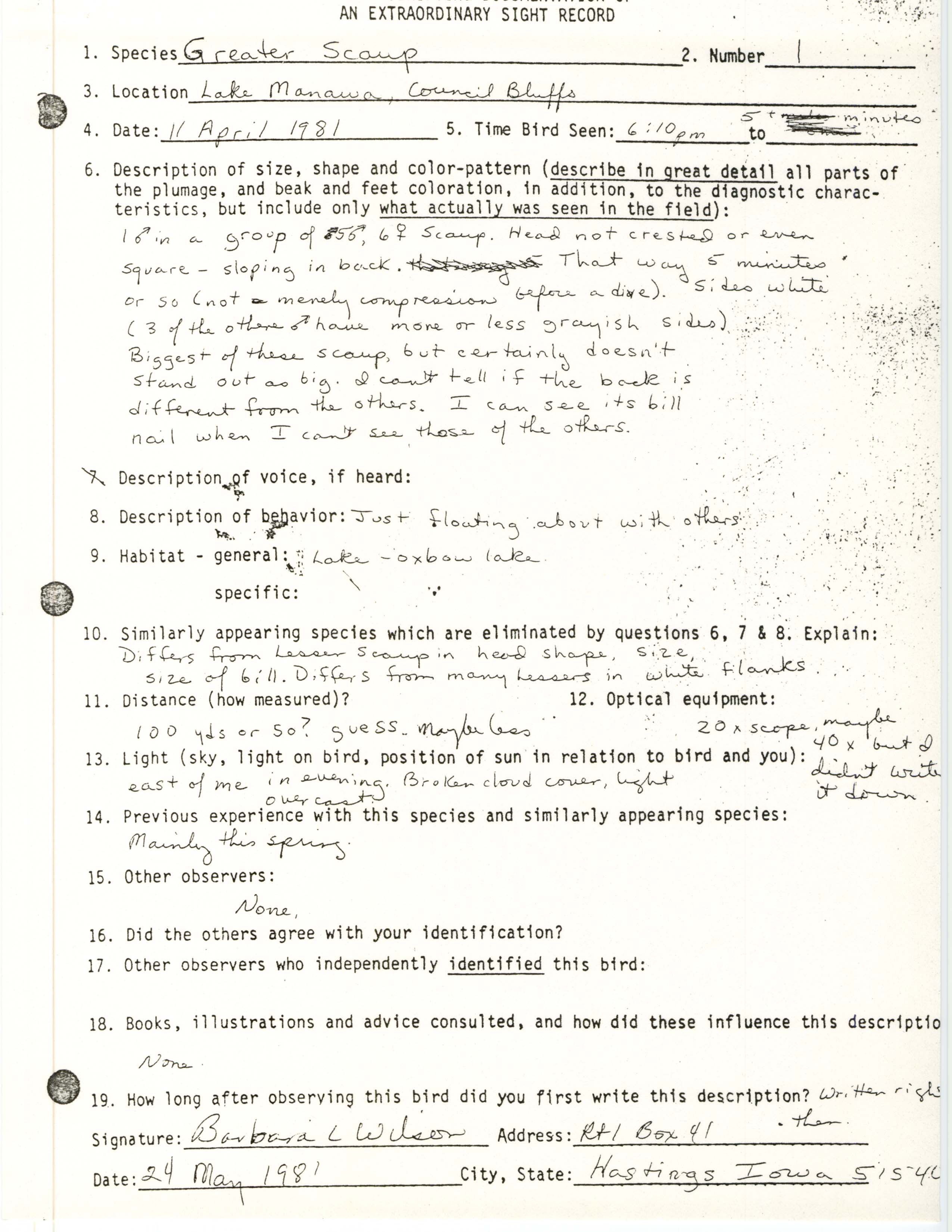 Rare bird documentation form for Greater Scaup at Lake Manawa, 1981