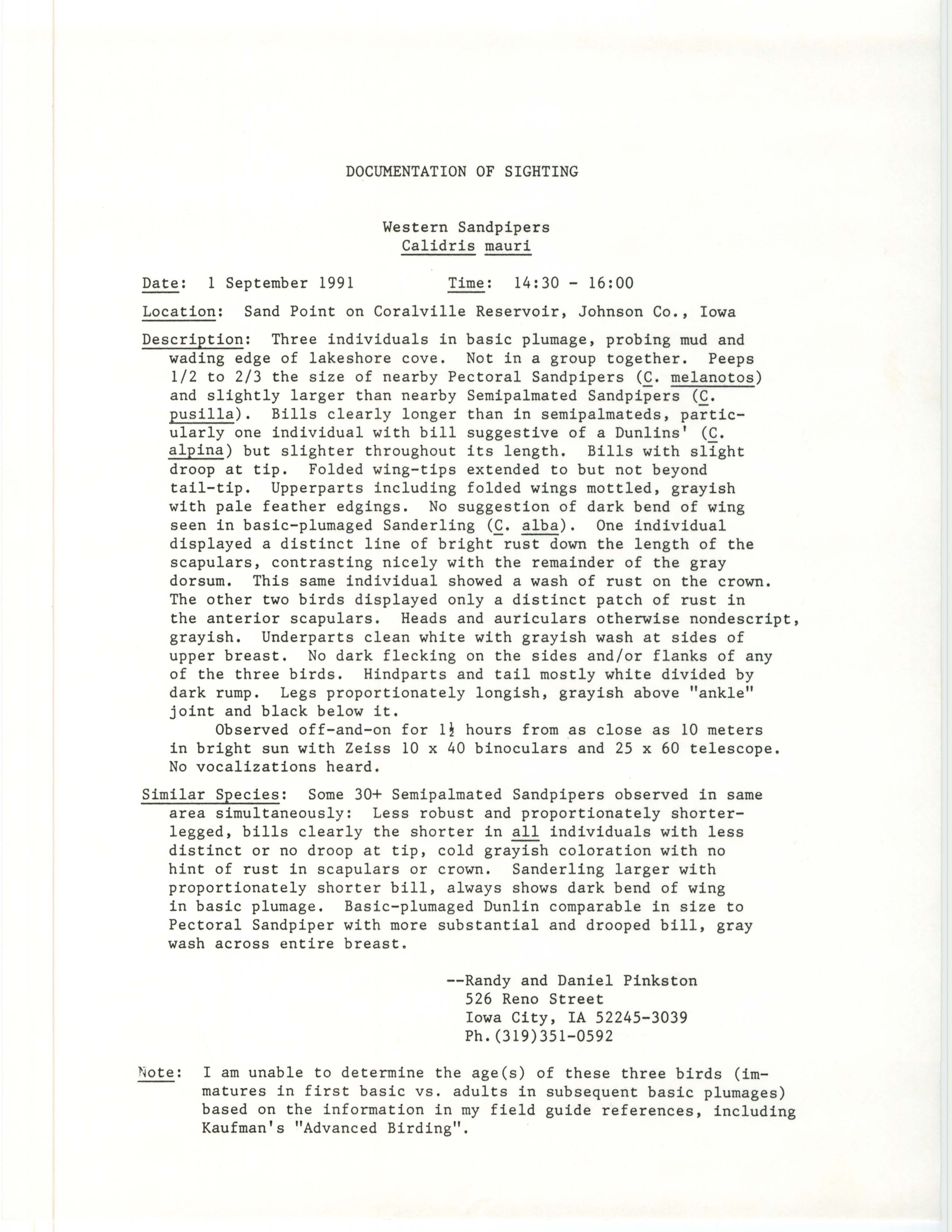 Rare bird documentation form for Western Sandpiper at Sand Point in Coralville Reservoir, 1991
