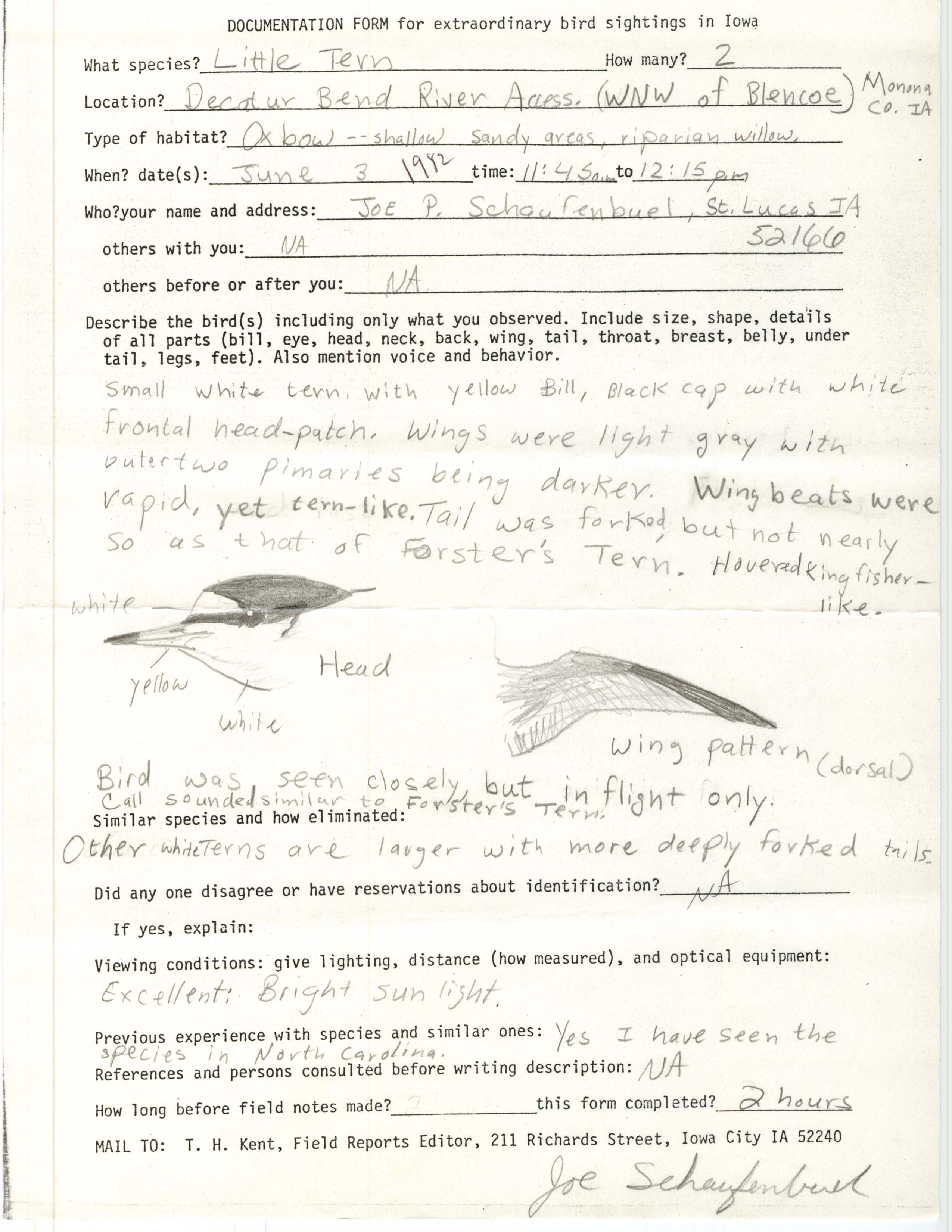 Rare bird documentation form for Little Tern at Decatur Bend River Access, 1982