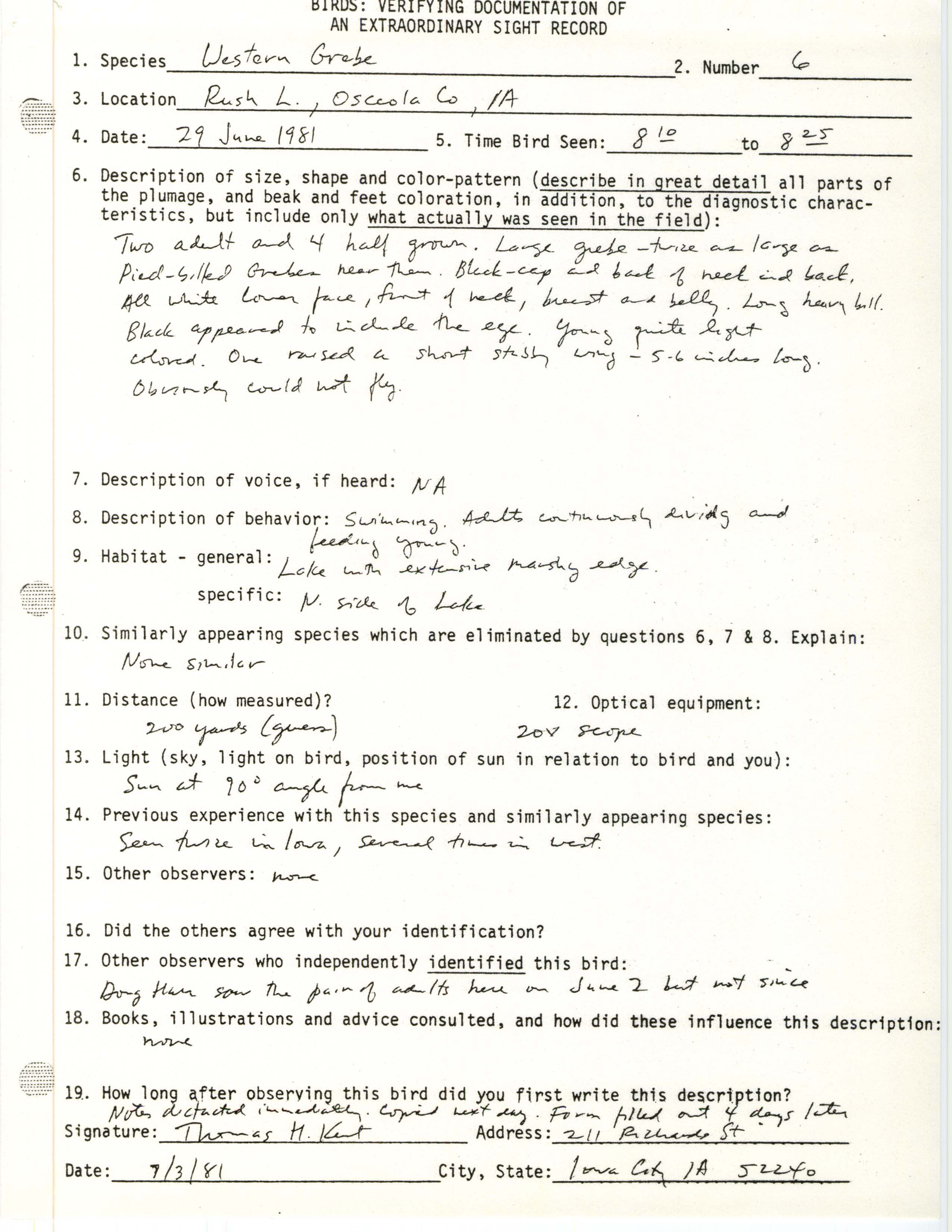 Rare bird documentation form for Western Grebe at Rush Lake, 1981