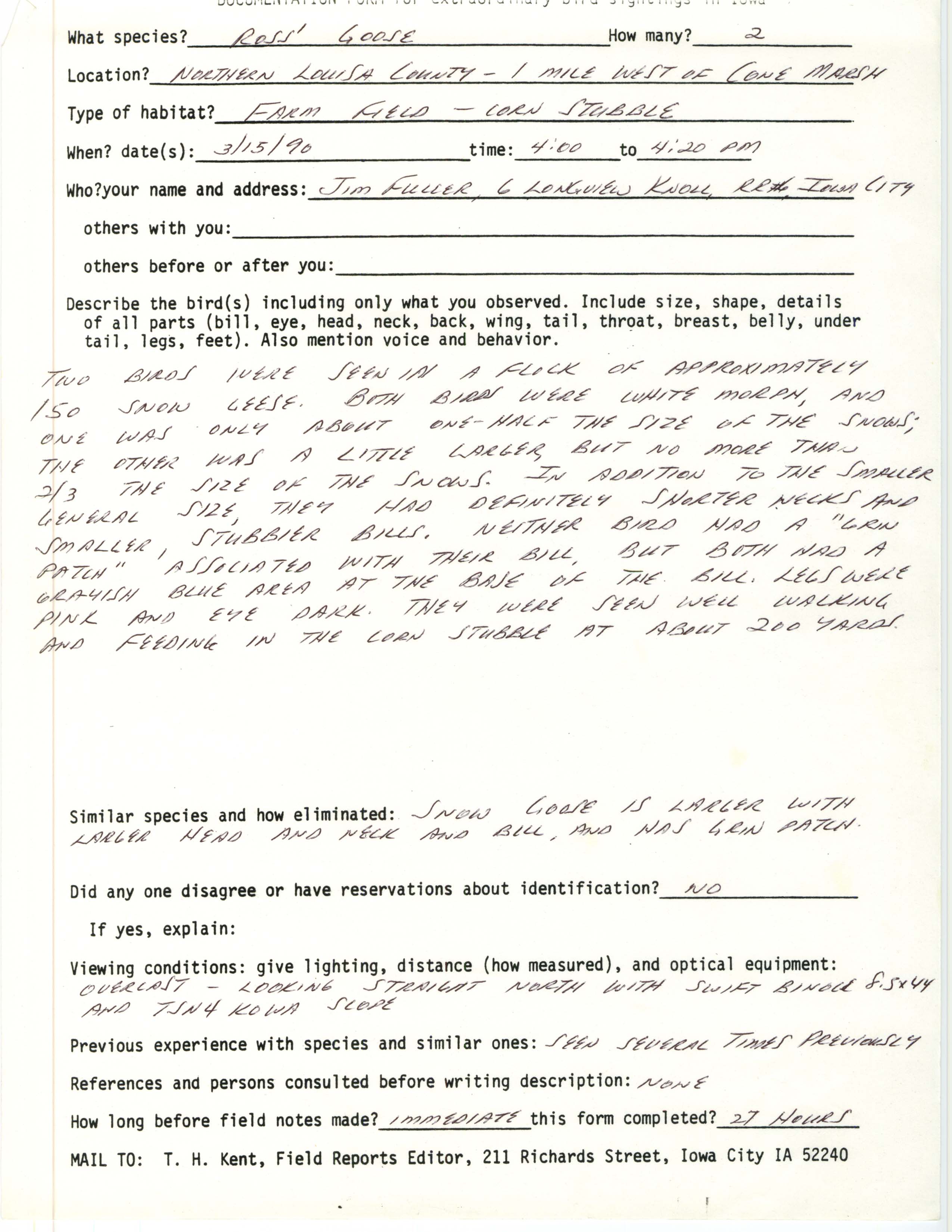 Rare bird documentation form for Ross' Goose near Cone Marsh, 1990