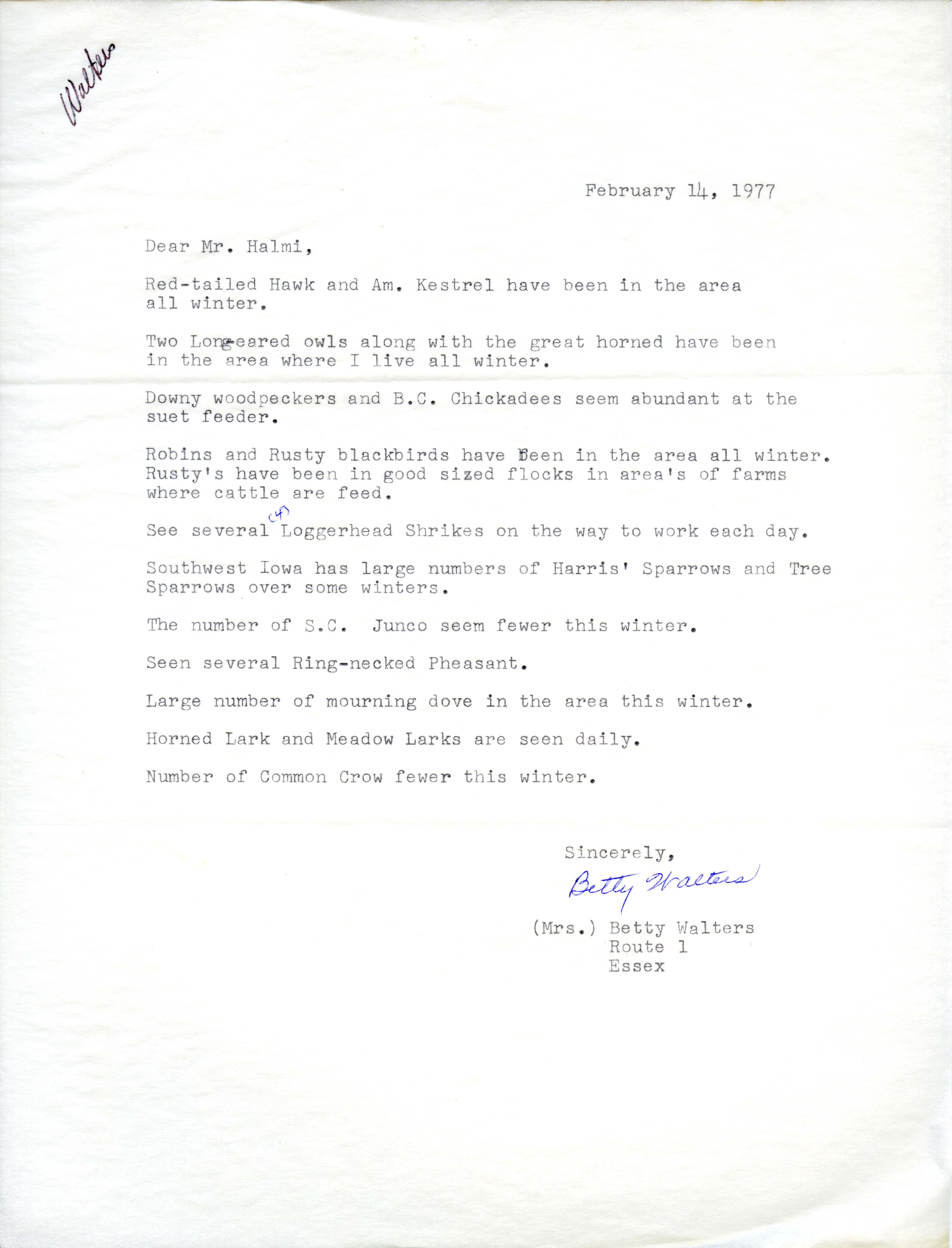 Betty Walters letter to Nicholas S. Halmi regarding bird sightings, February 14, 1977