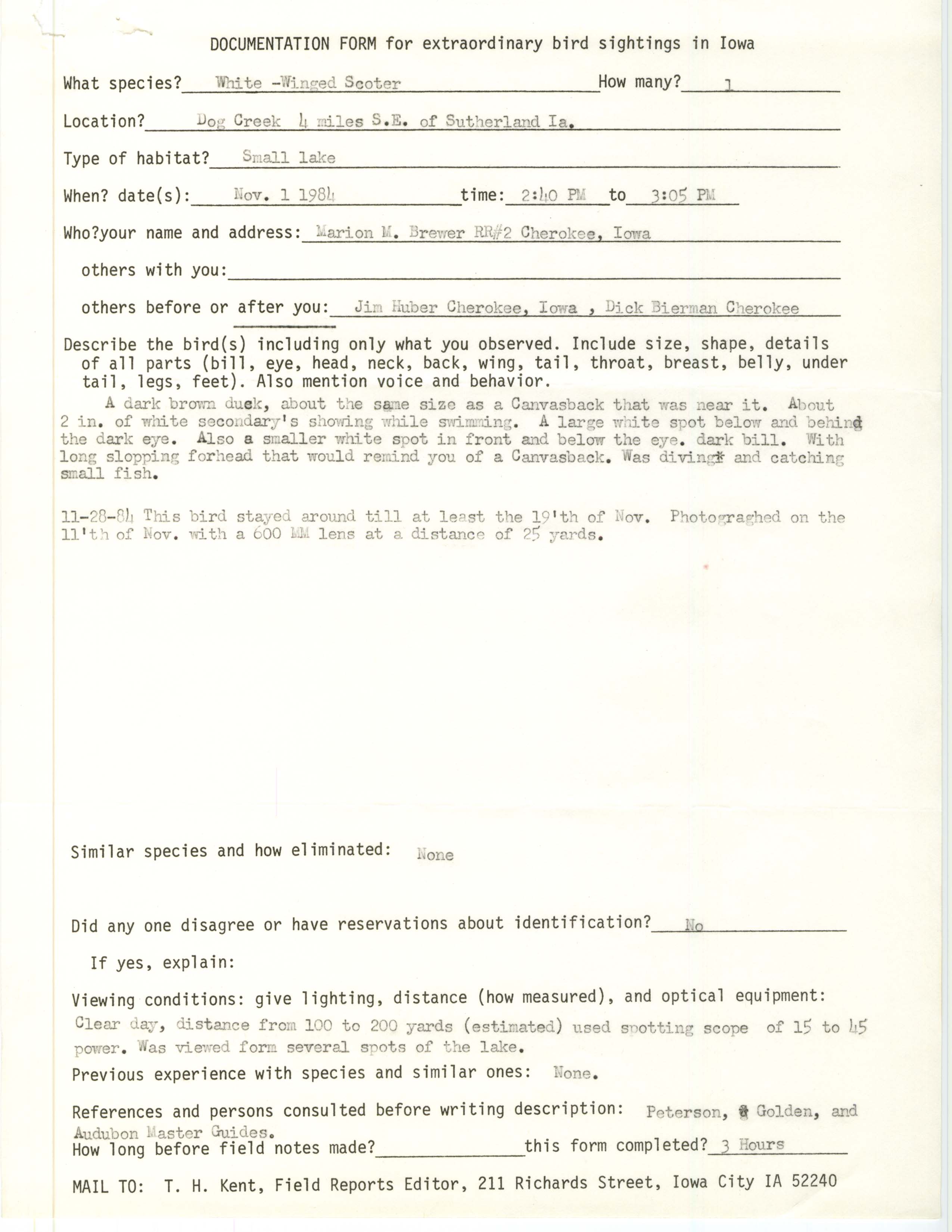 Rare bird documentation form for White-winged Scoter at Dog Creek, 1984