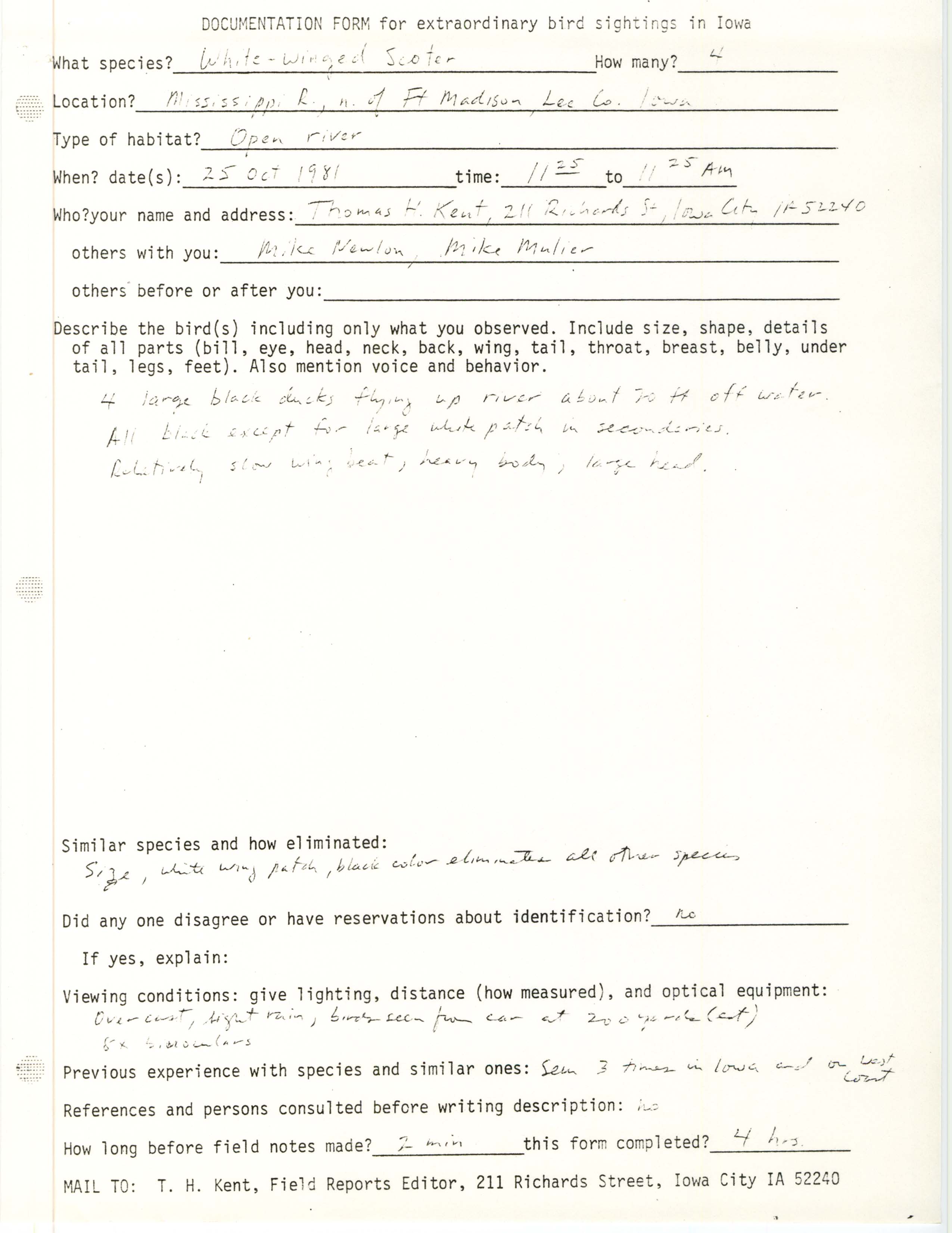 Rare bird documentation form for White-winged Scoter north of Fort Madison in 1981