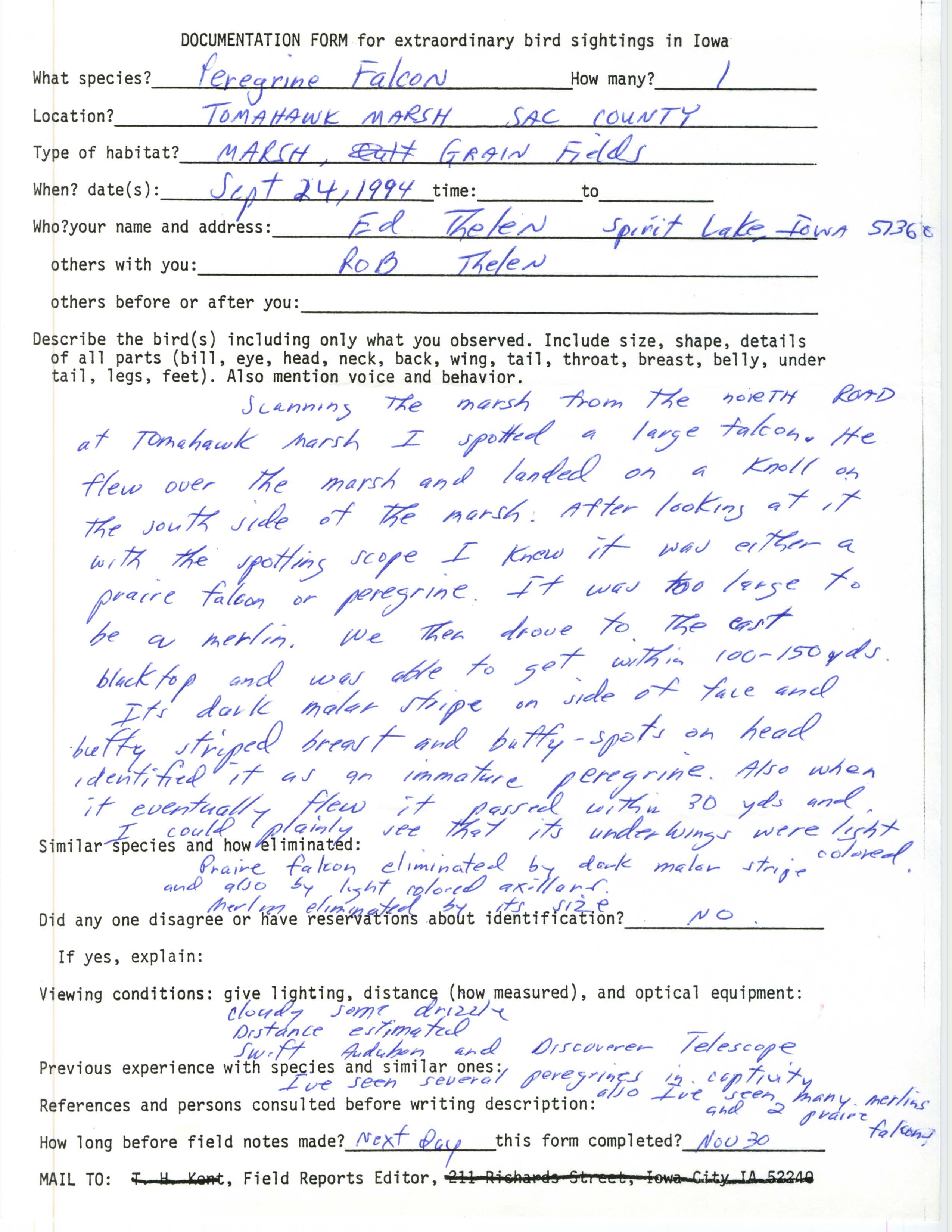 Rare bird documentation form for Peregrine Falcon at Tomahawk Marsh, 1994