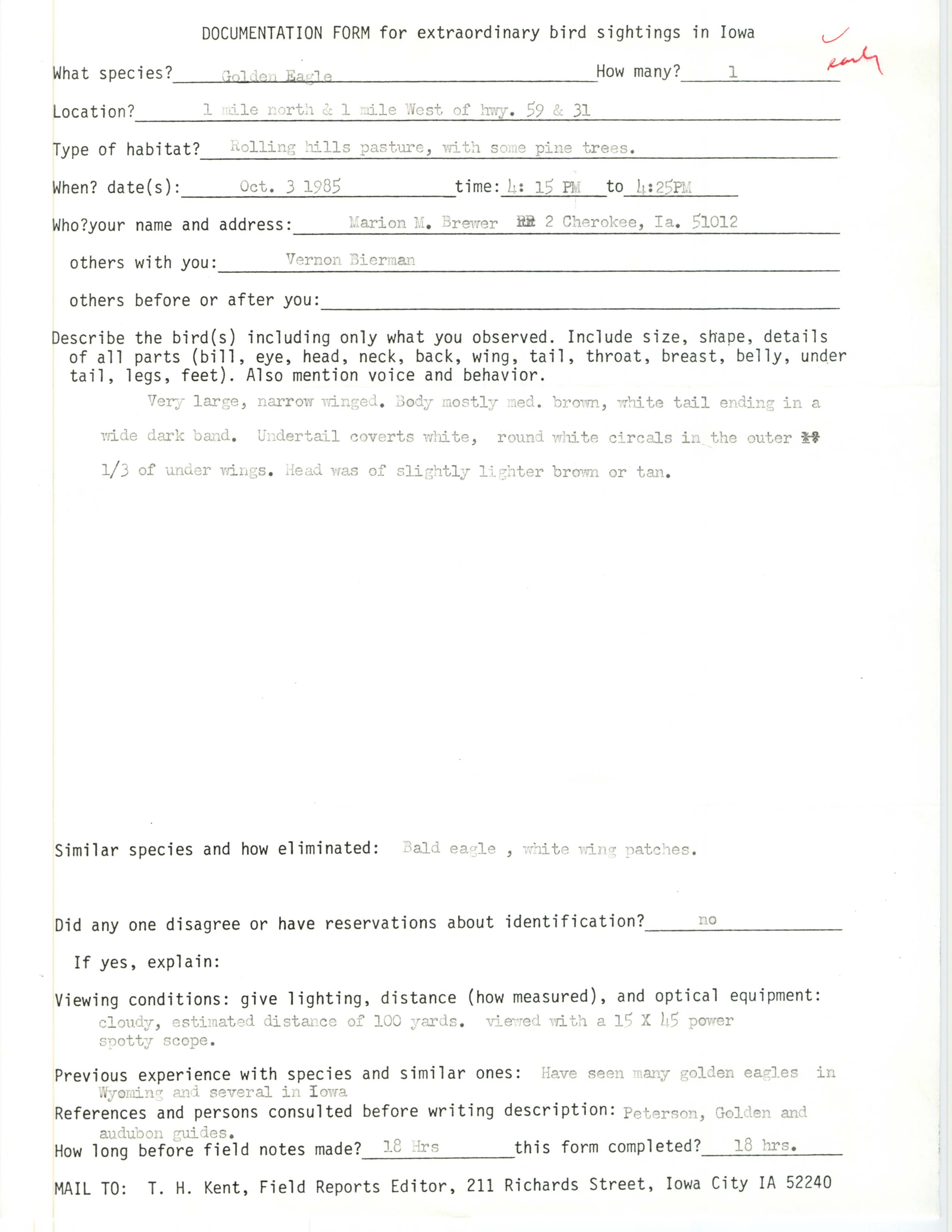 Rare bird documentation form for Golden Eagle near Silver Creek in Cherokee County, 1985