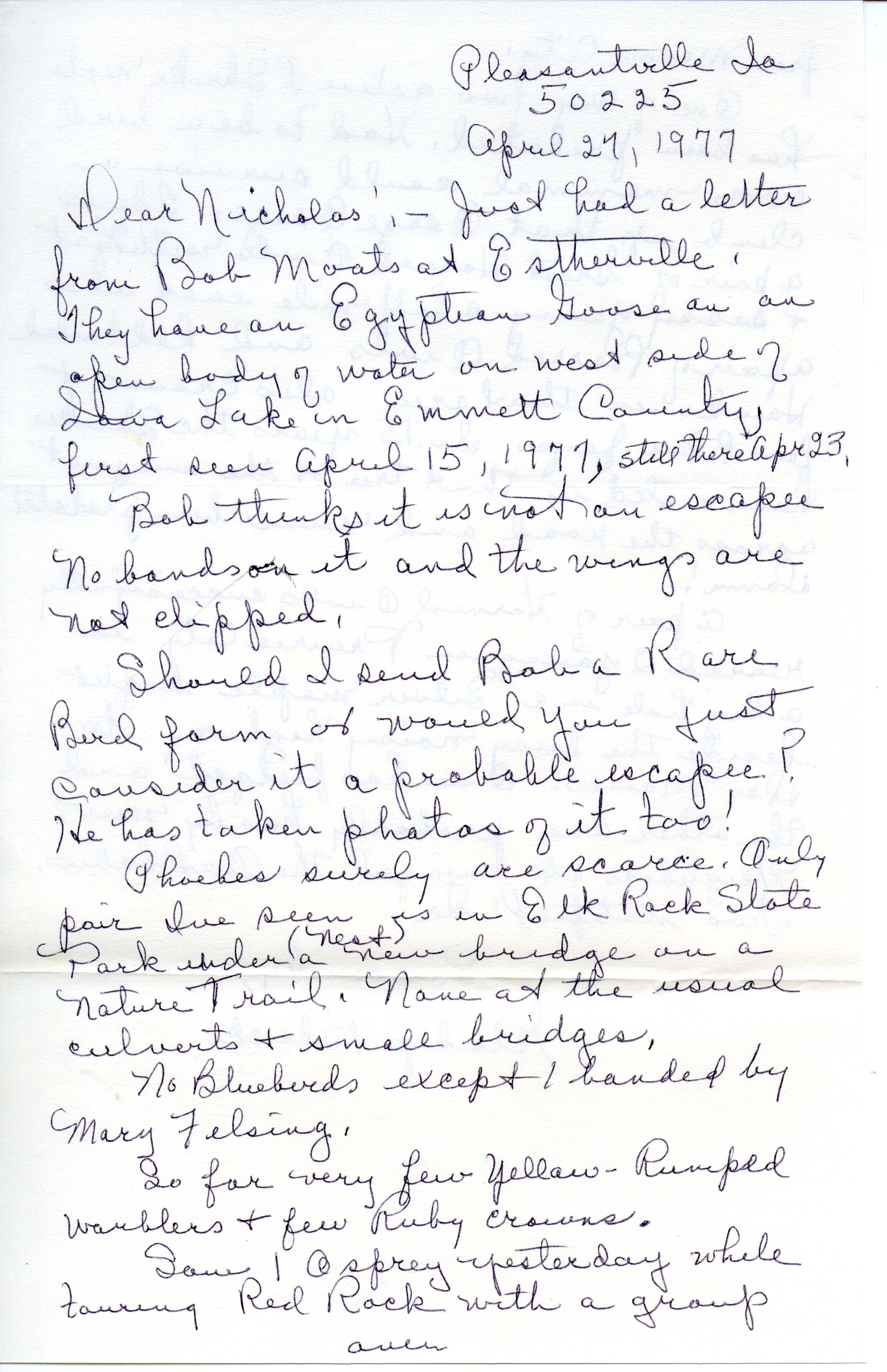 Gladys Black letter to Nicholas S. Halmi regarding bird watching, April 27, 1977 