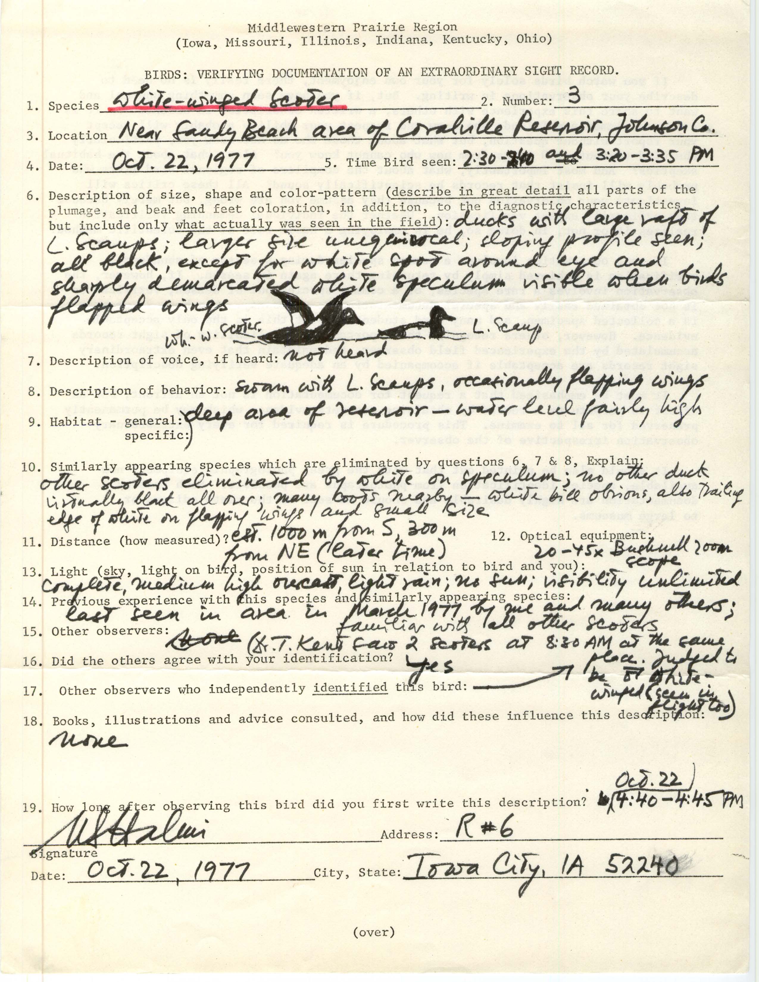 Rare bird documentation form for White-winged Scoter at Coralville Reservoir, 1977