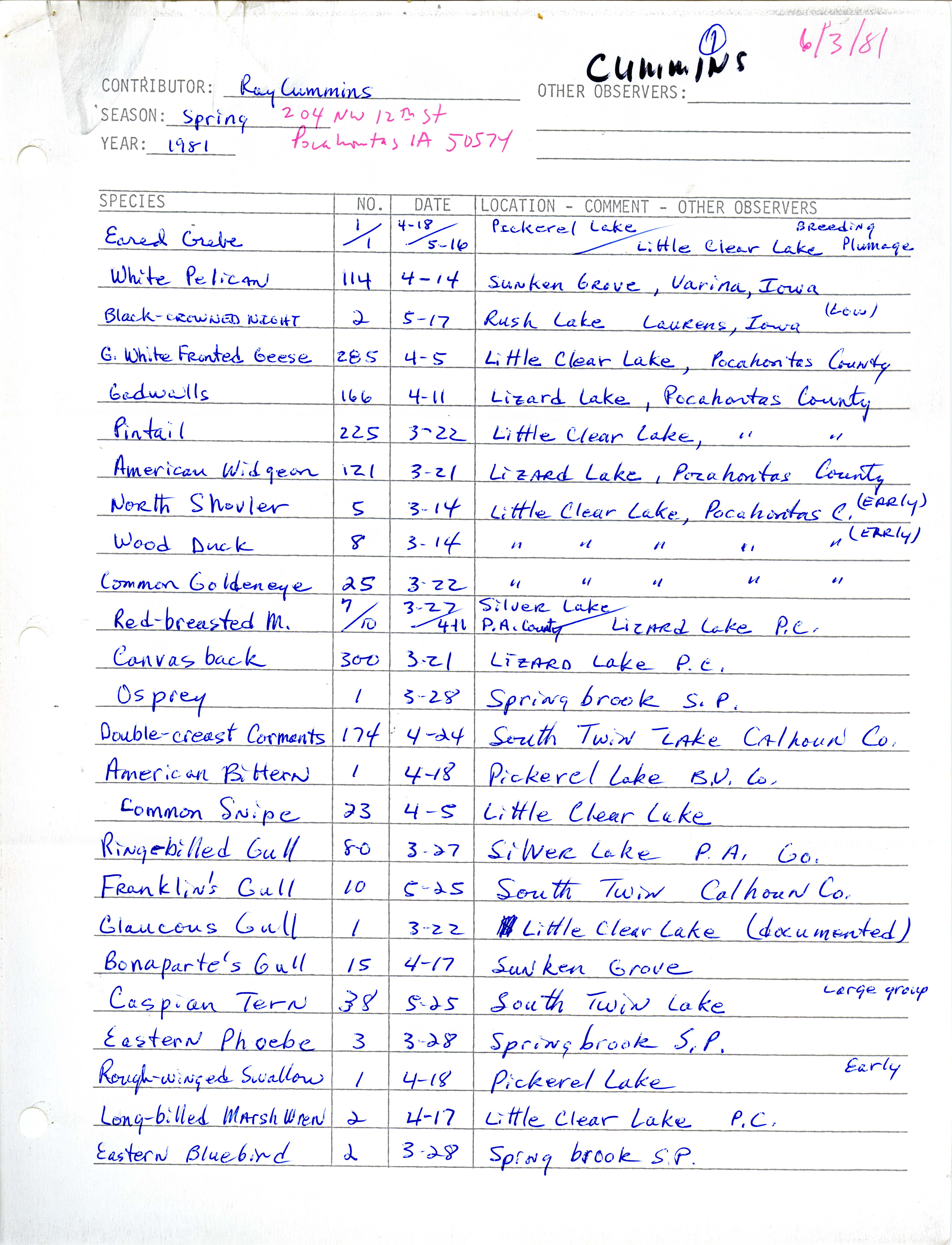 Annotated bird sighting list for spring 1981 compiled by Raymond Cummins