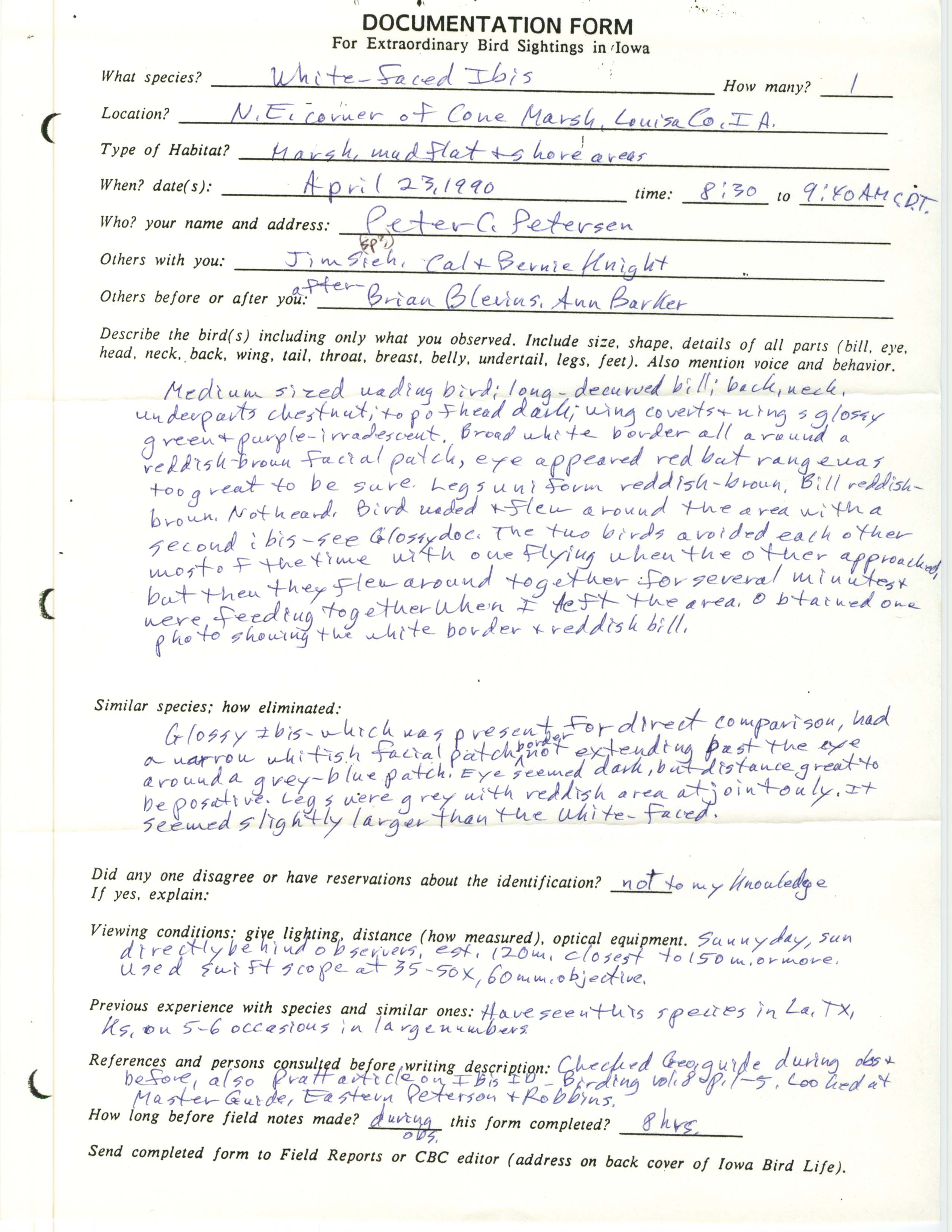 Rare bird documentation form for White-faced Ibis at Cone Marsh, 1990