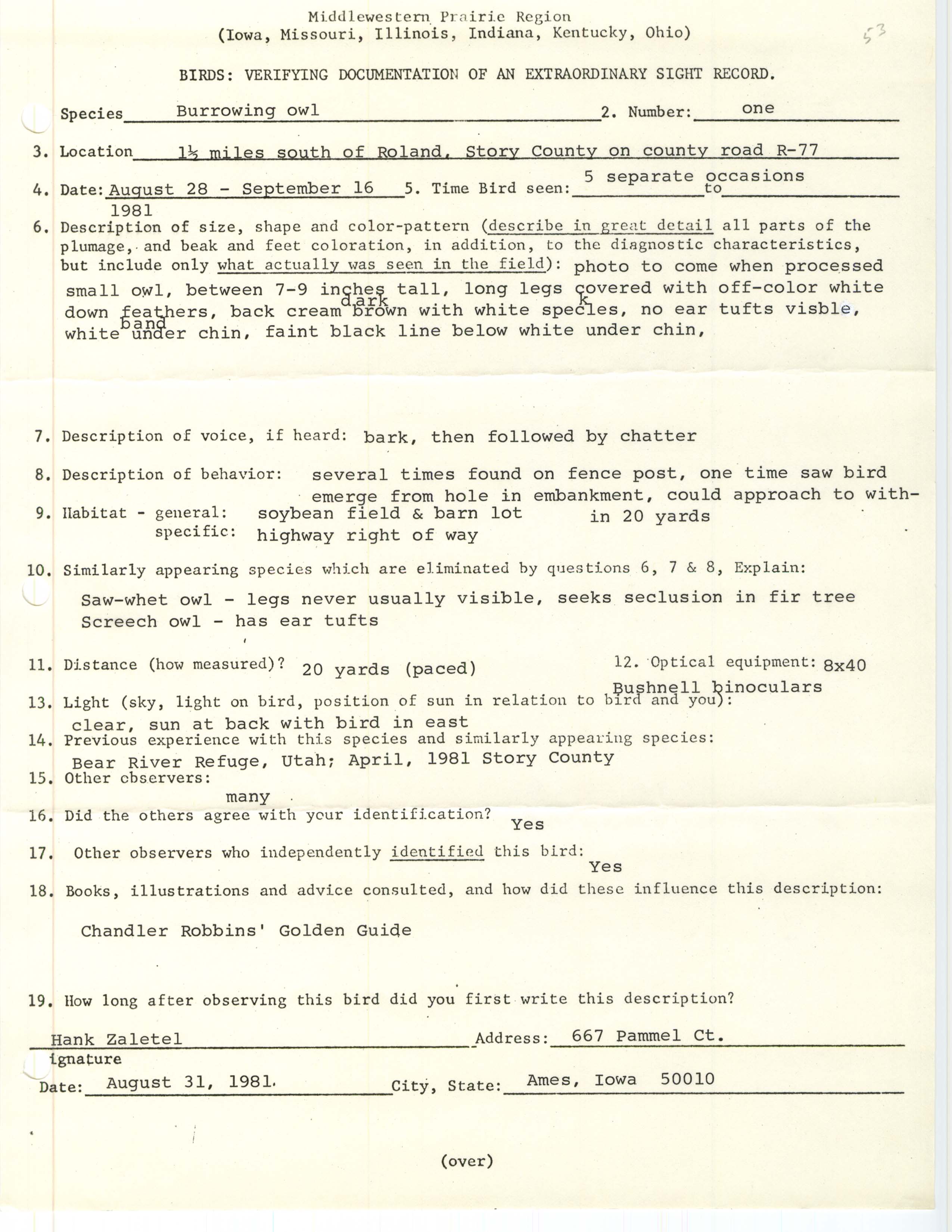 Rare bird documentation form for Burrowing Owl south of Roland in 1981