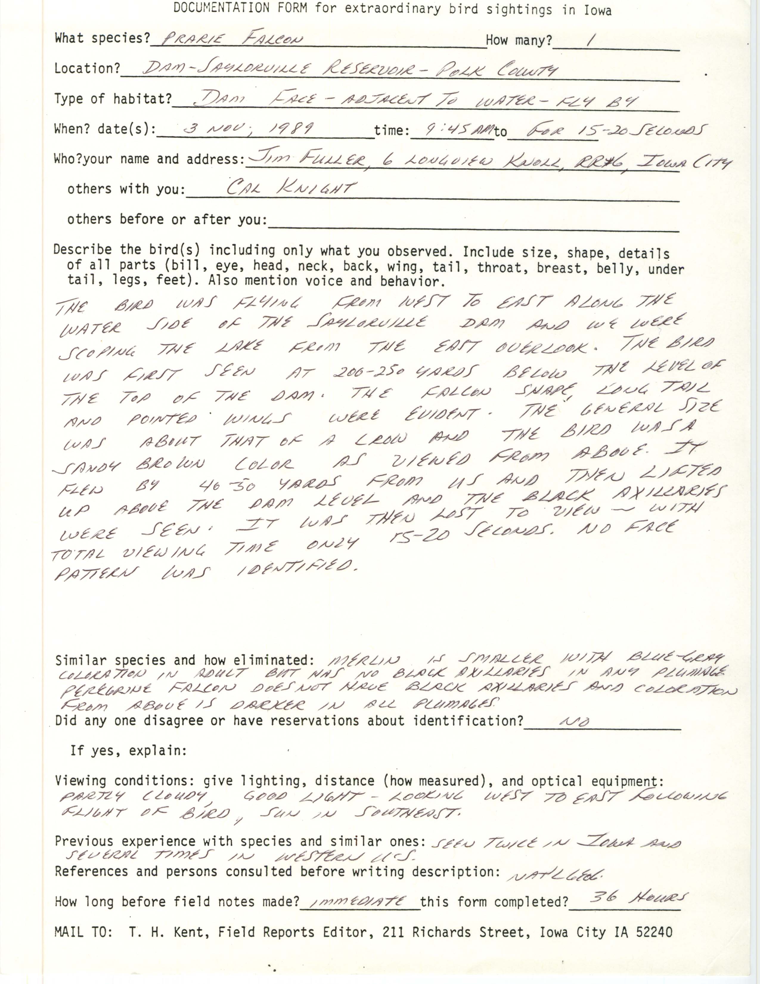 Rare bird documentation form for Prairie Falcon at Saylorville Dam, 1989