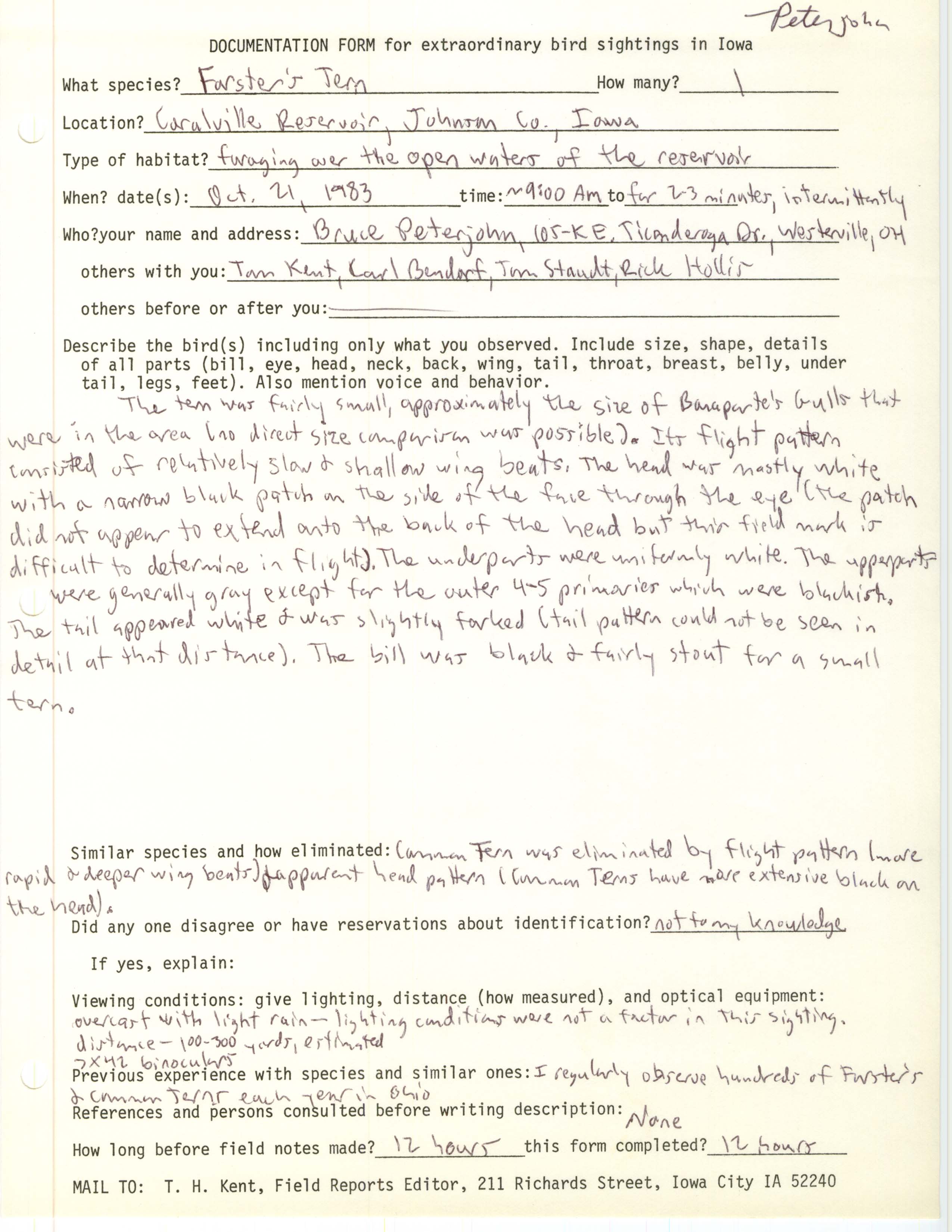 Rare bird documentation form for Forster's Tern at Coralville Reservoir, 1983