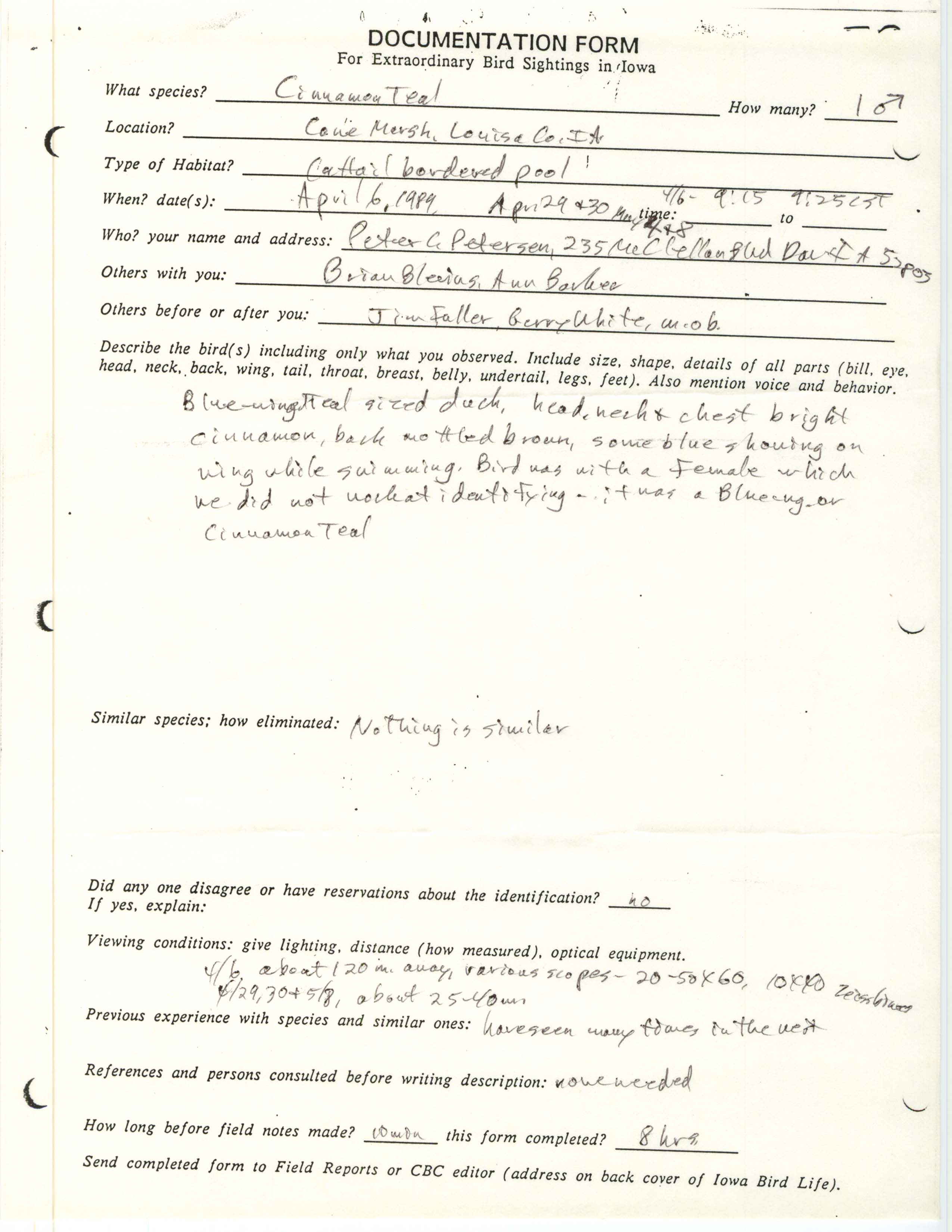 Rare bird documentation form for Cinnamon Teal at Cone Marsh in 1989