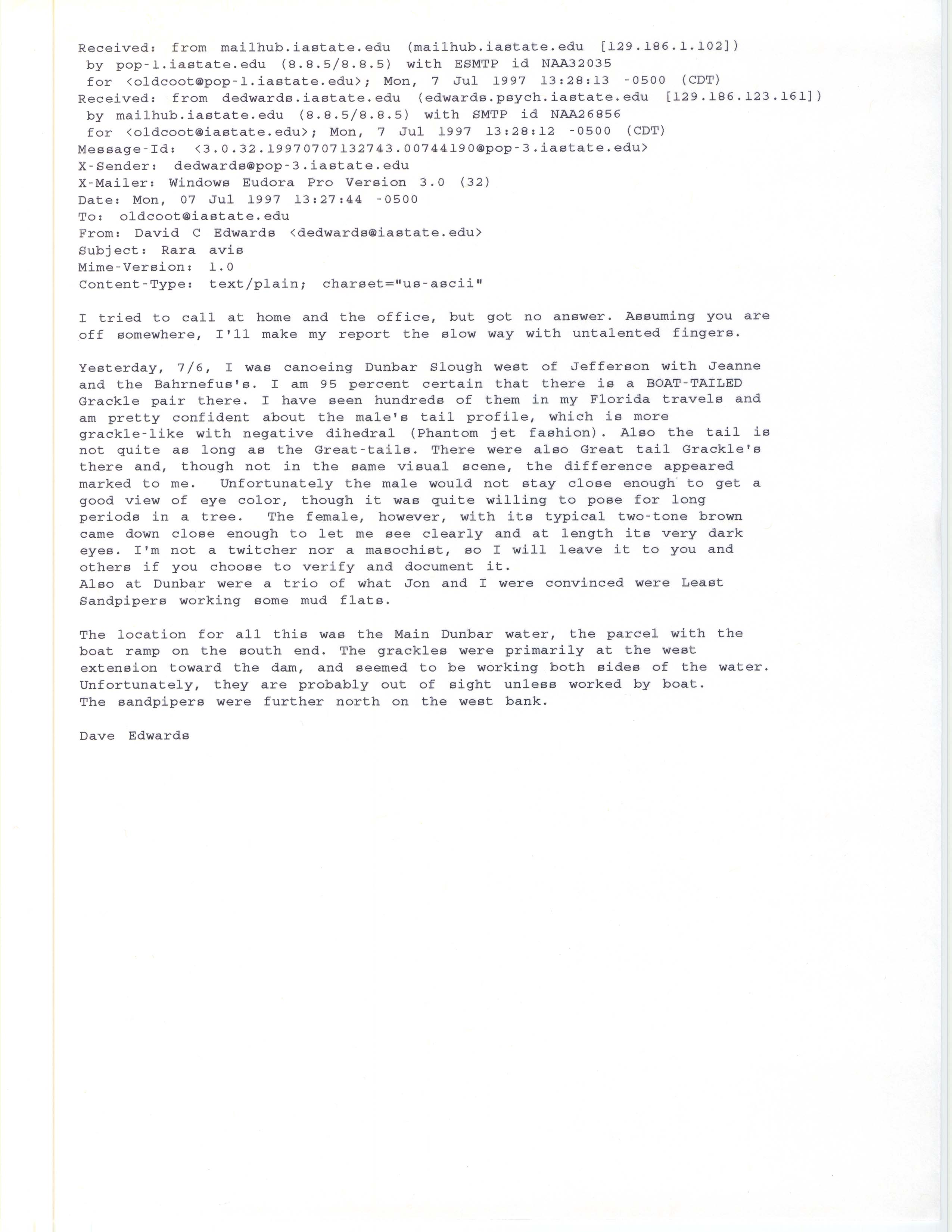 David C. Edwards email to James J. Dinsmore regarding a possible Great-tailed Grackle sighting, July 7, 1997 