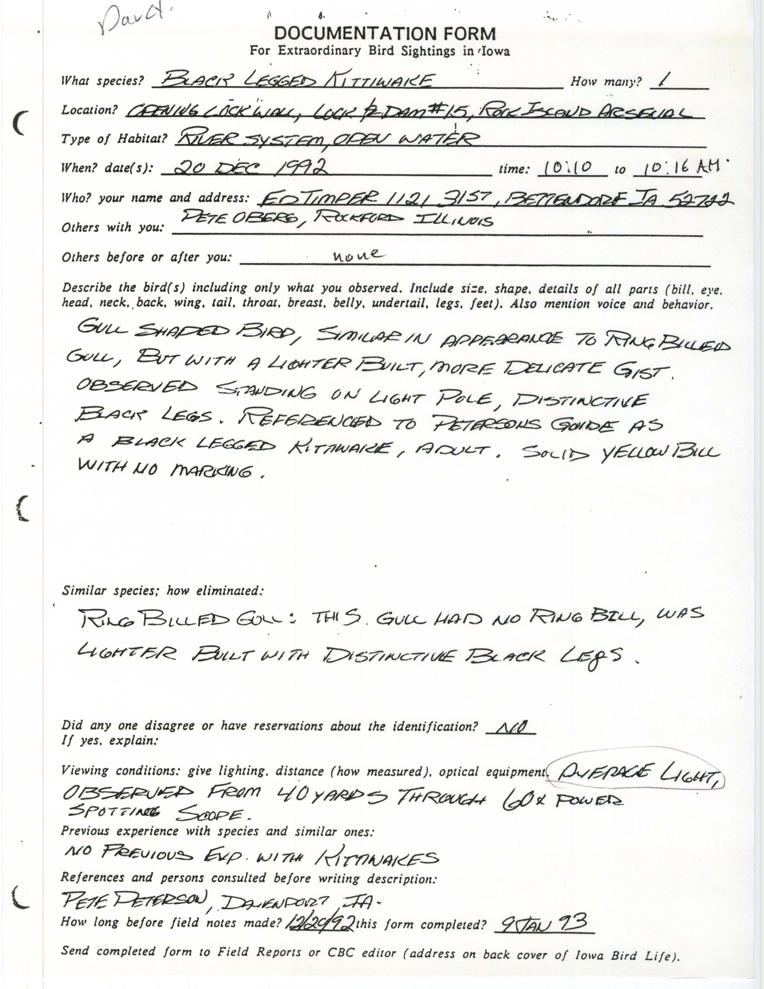 Rare bird documentation form for Black-legged Kittiwake at Lock and Dam 15, 1992