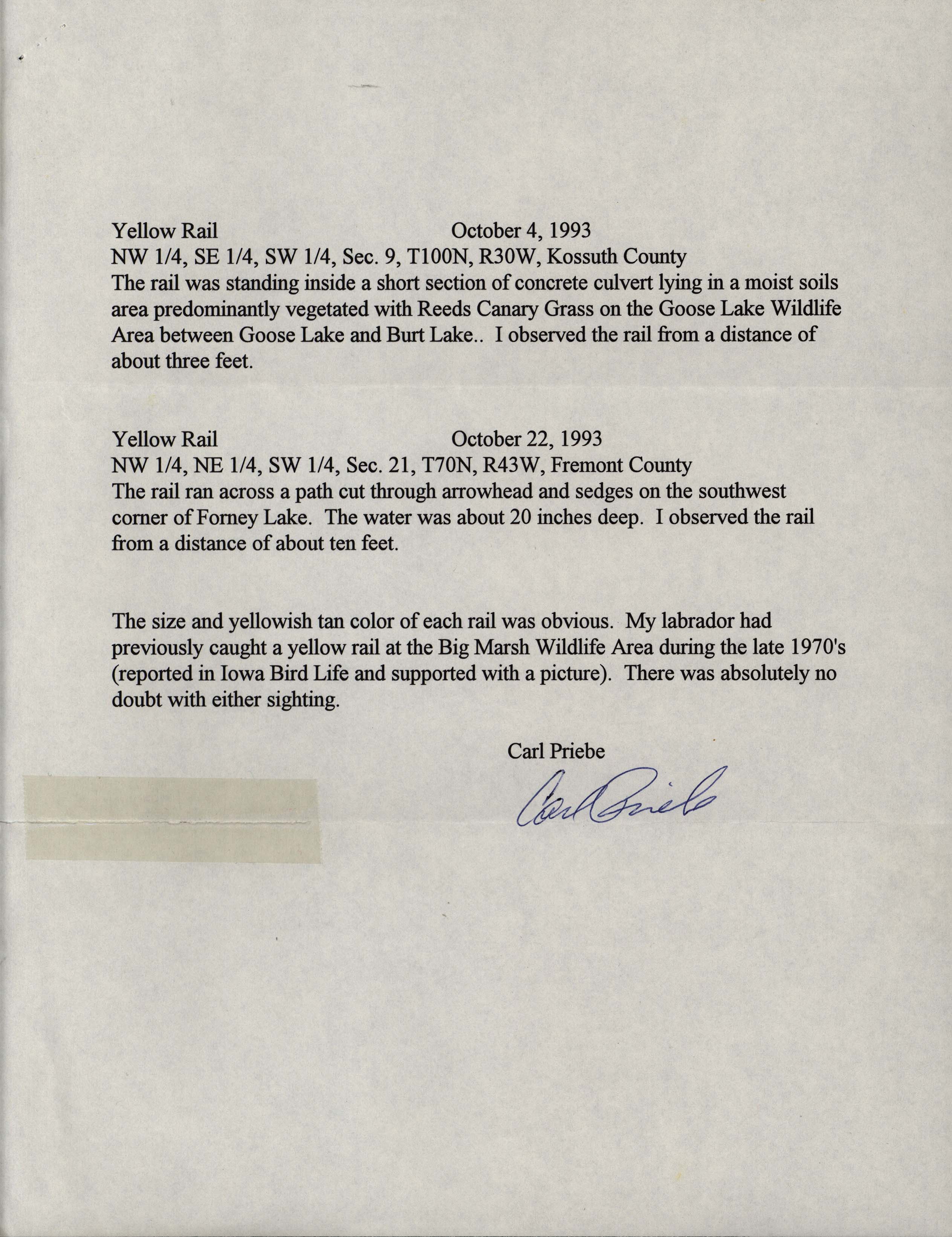 Field notes about Yellow Rail sightings contributed by Carl Priebe, fall 1993