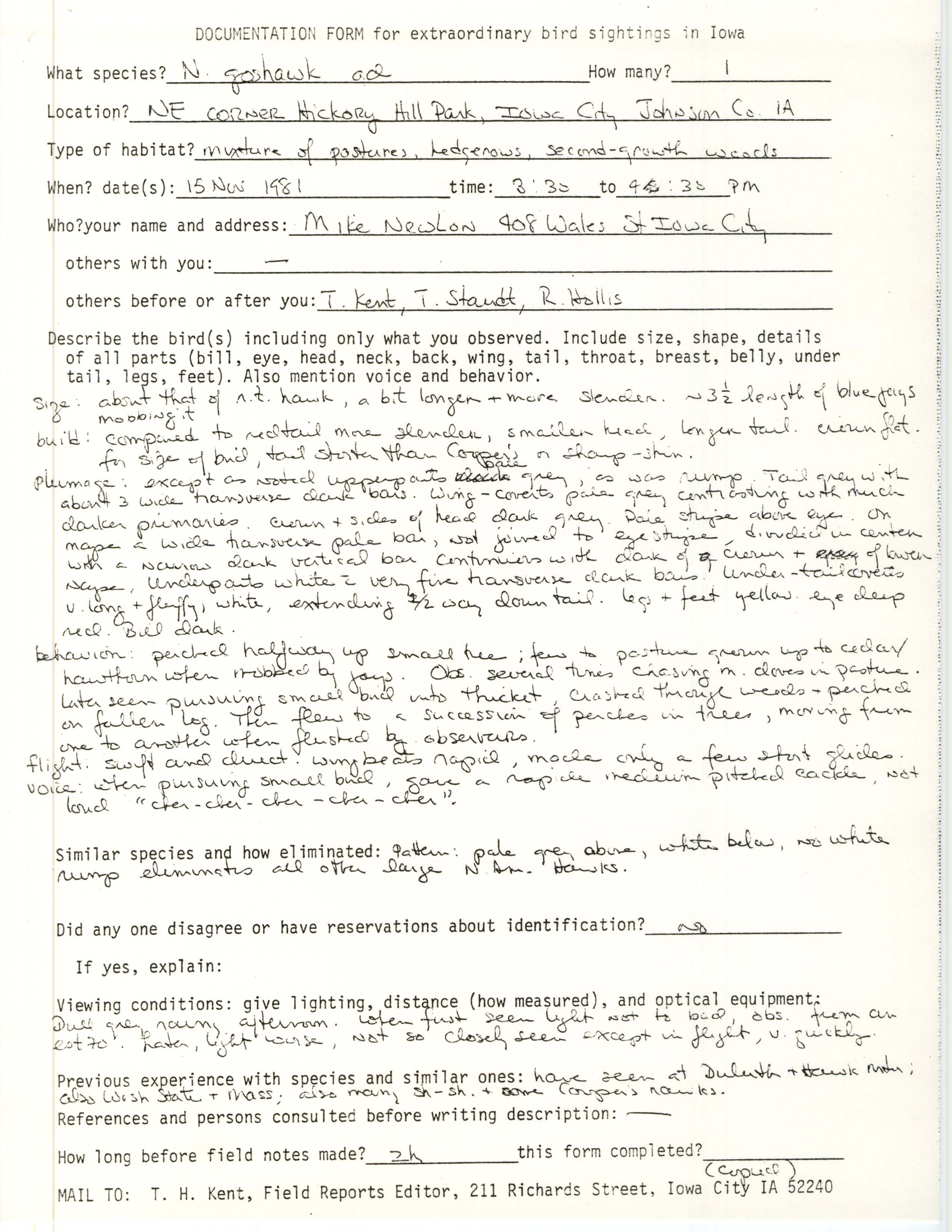 Rare bird documentation form for Northern Goshawk at Hickory Hill Park, 1981