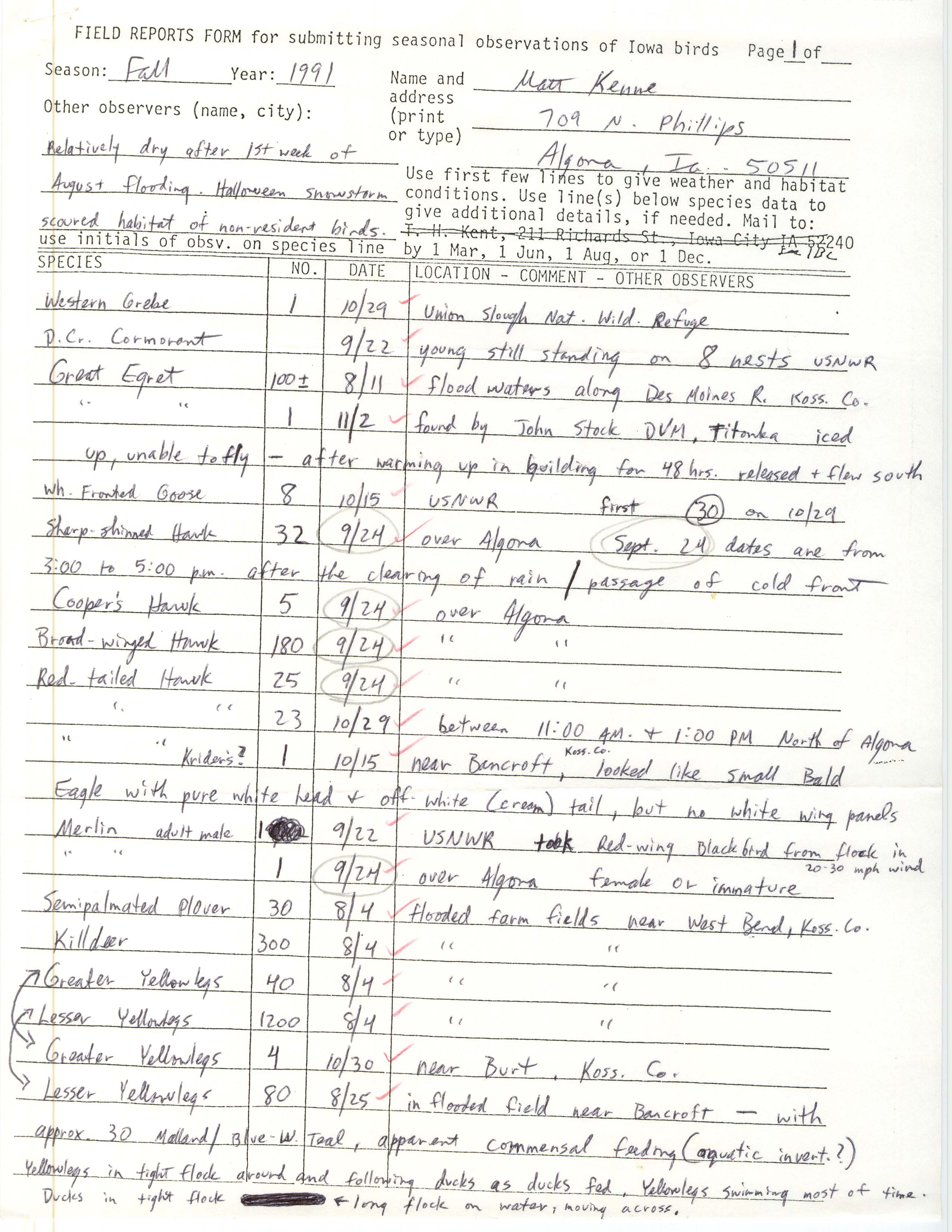 Field reports form for submitting seasonal observations of Iowa birds, Matthew Kenne, fall 1991