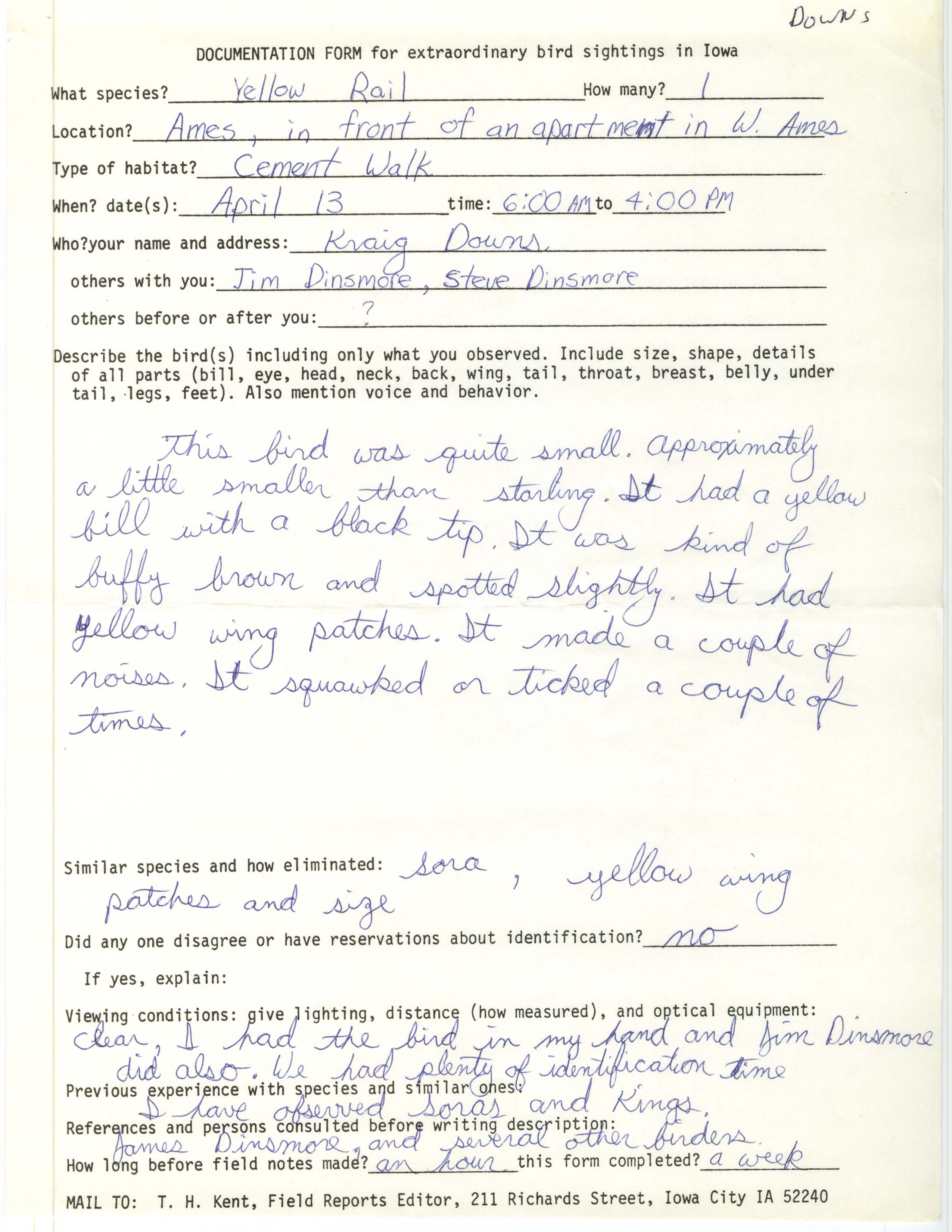 Rare bird documentation form for Yellow Rail at Ames in 1983