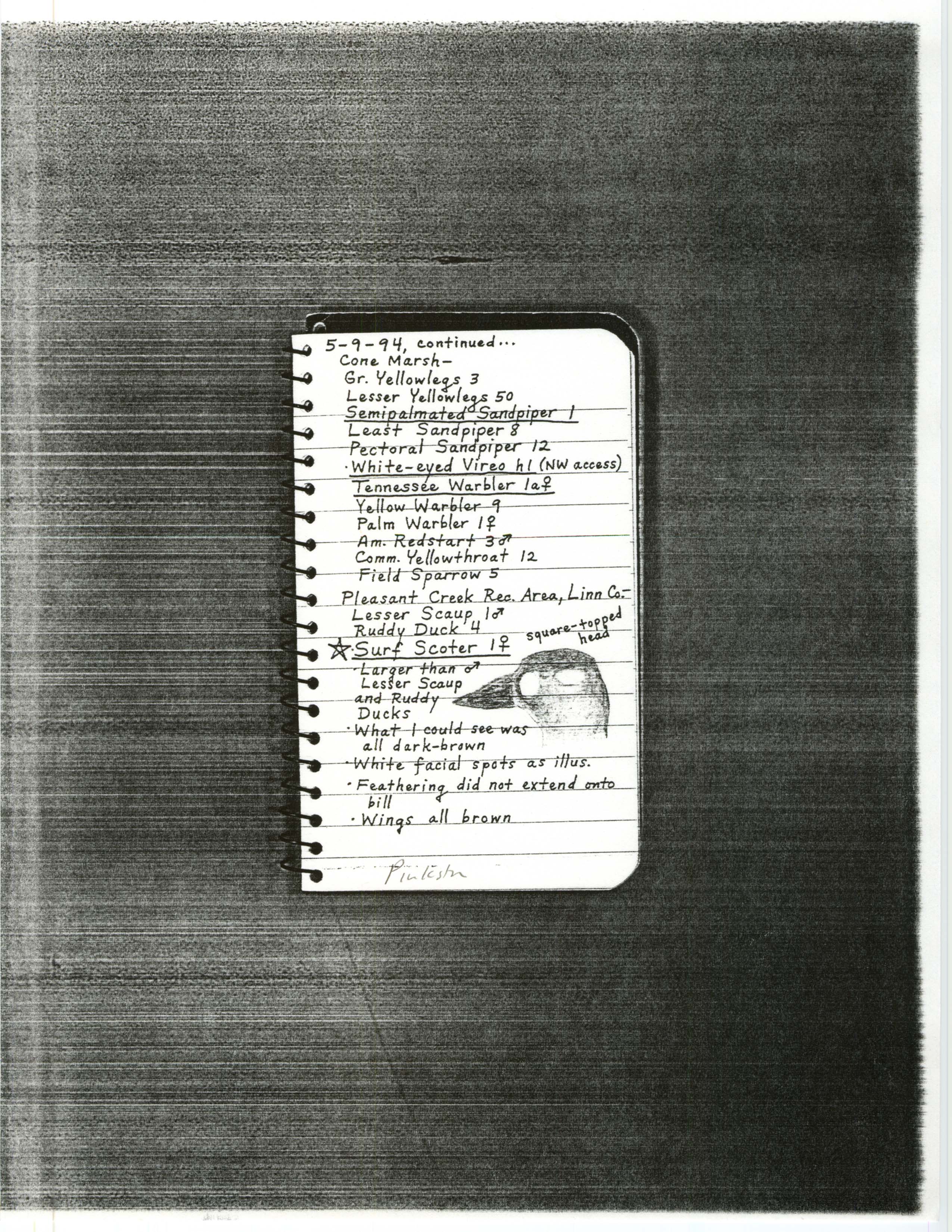 Field notes contributed by Randall Pinkston, May 9, 1994