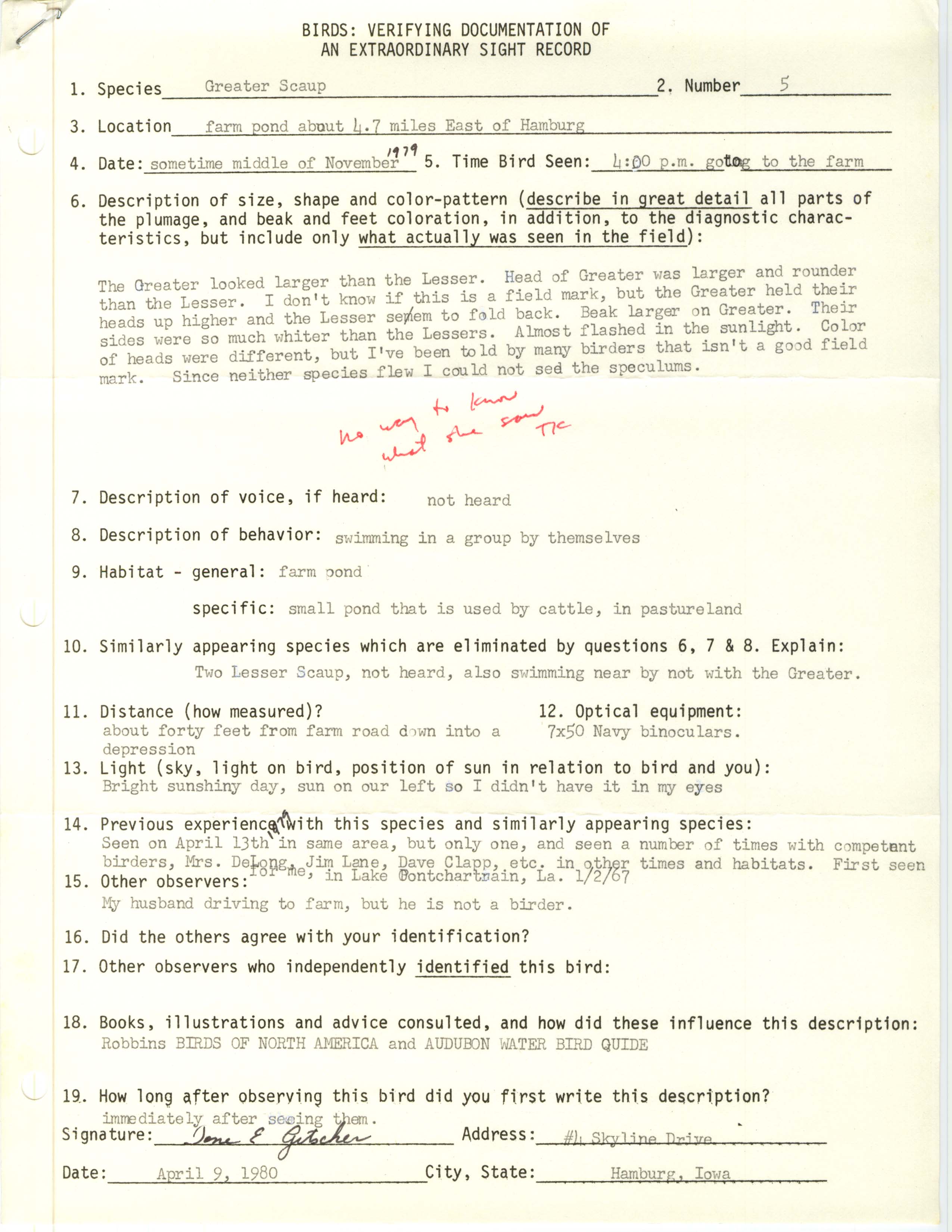Rare bird documentation form for Greater Scaup at Hamburg, 1979