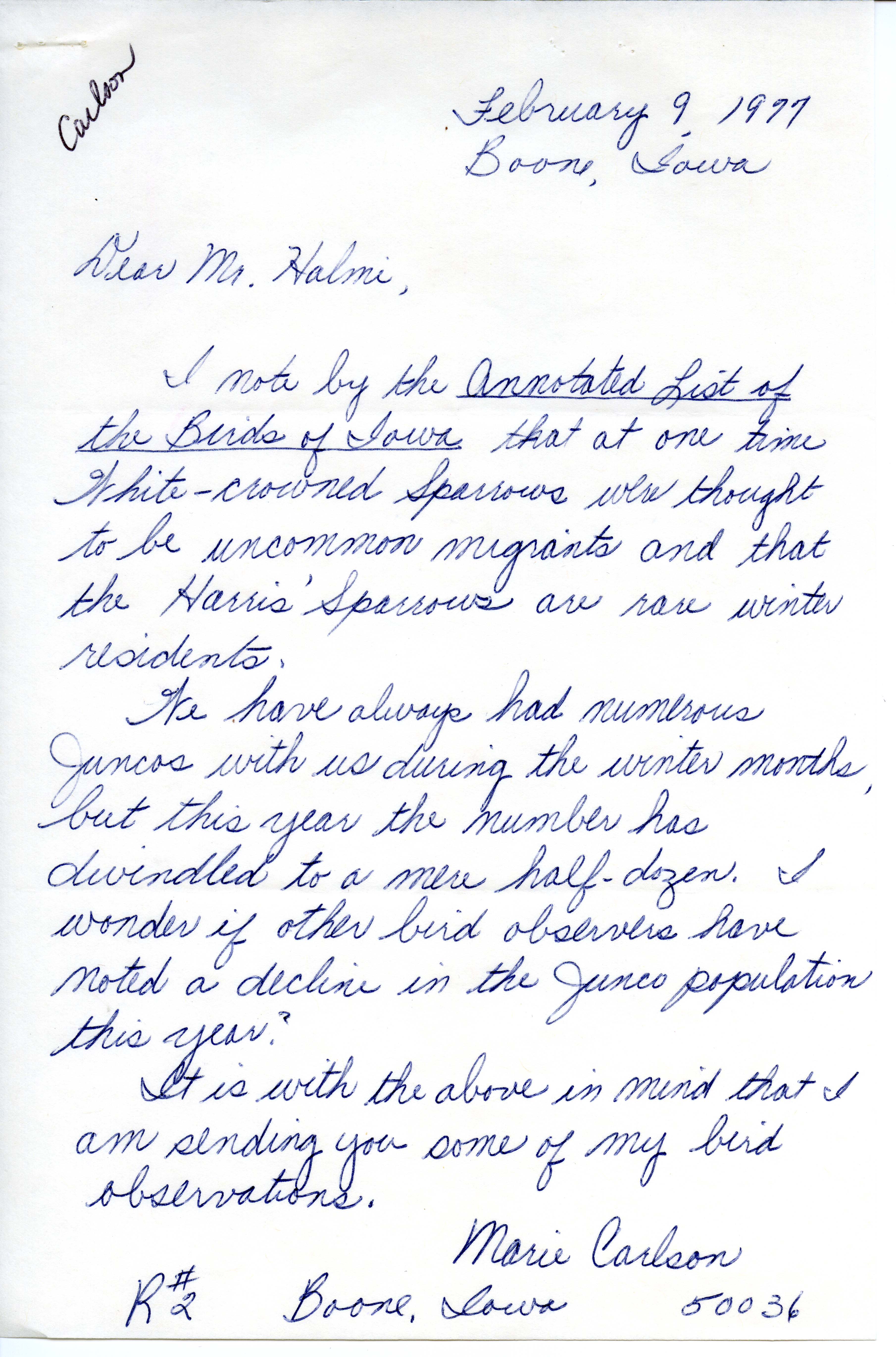Marie Carlson letter to Nicholas S. Halmi regarding bird sightings, February 9, 1977