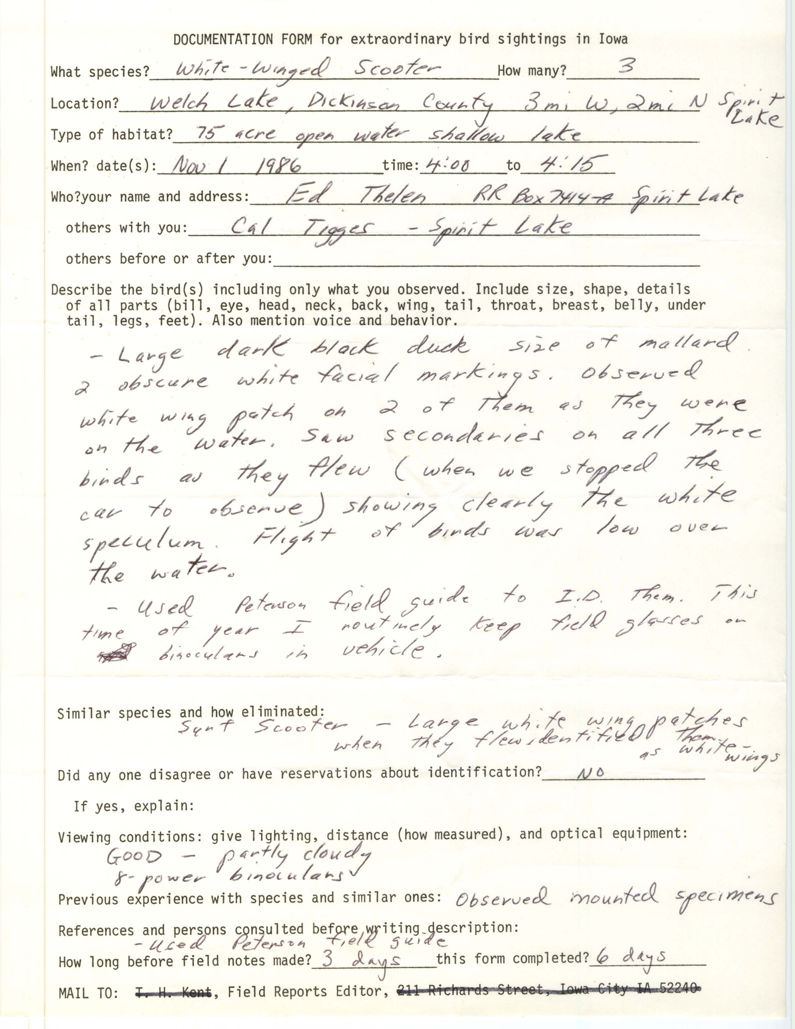 Rare bird documentation form for White-winged Scoter at Welch Lake, 1986