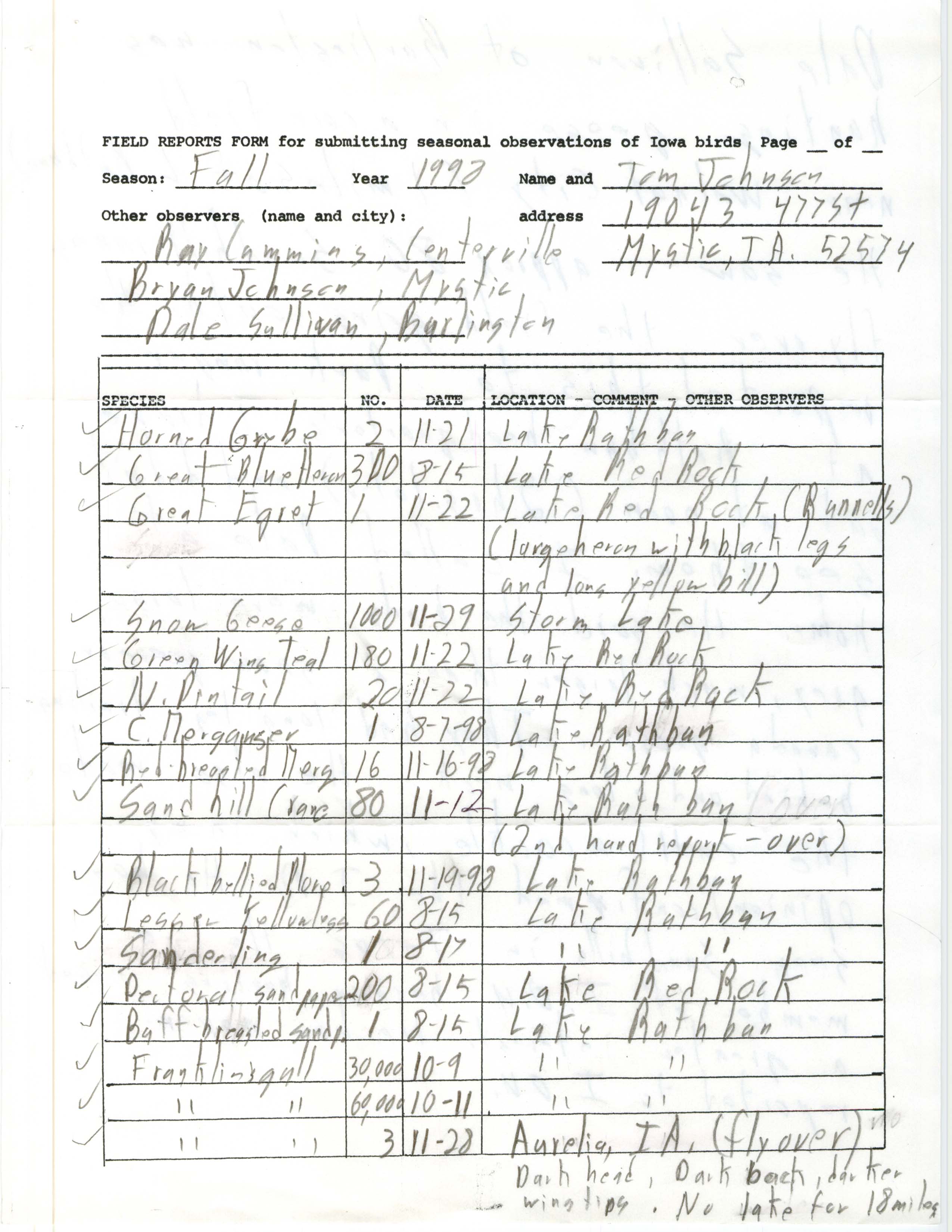 Field reports form for submitting seasonal observations of Iowa birds, Thomas N. Johnson, fall 1998
