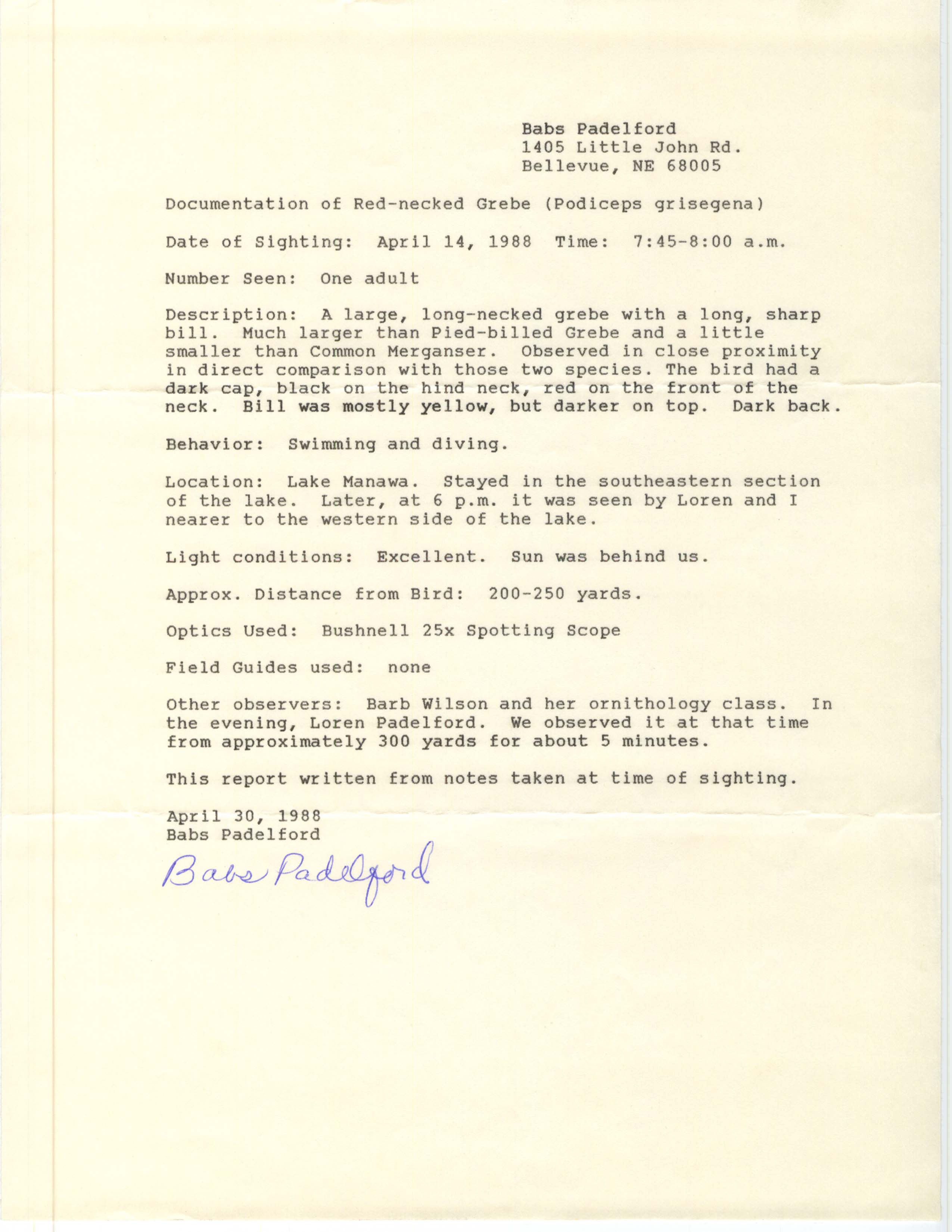 Documentation of Red-necked Grebe (Podiceps grisegena), April 30, 1988