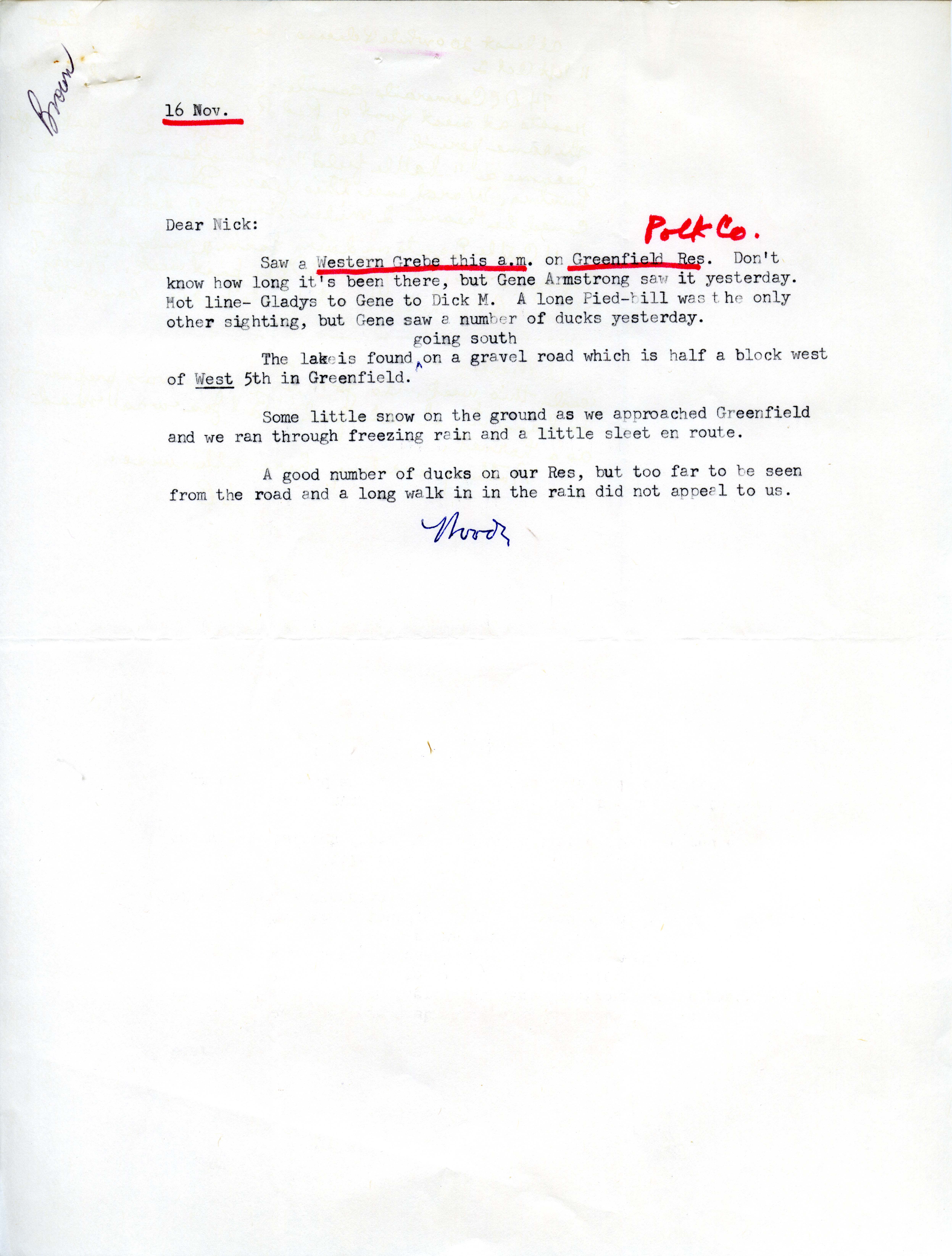 Woodward H. Brown letter to Nicholas S. Halmi regarding bird sightings, November 16, 1978