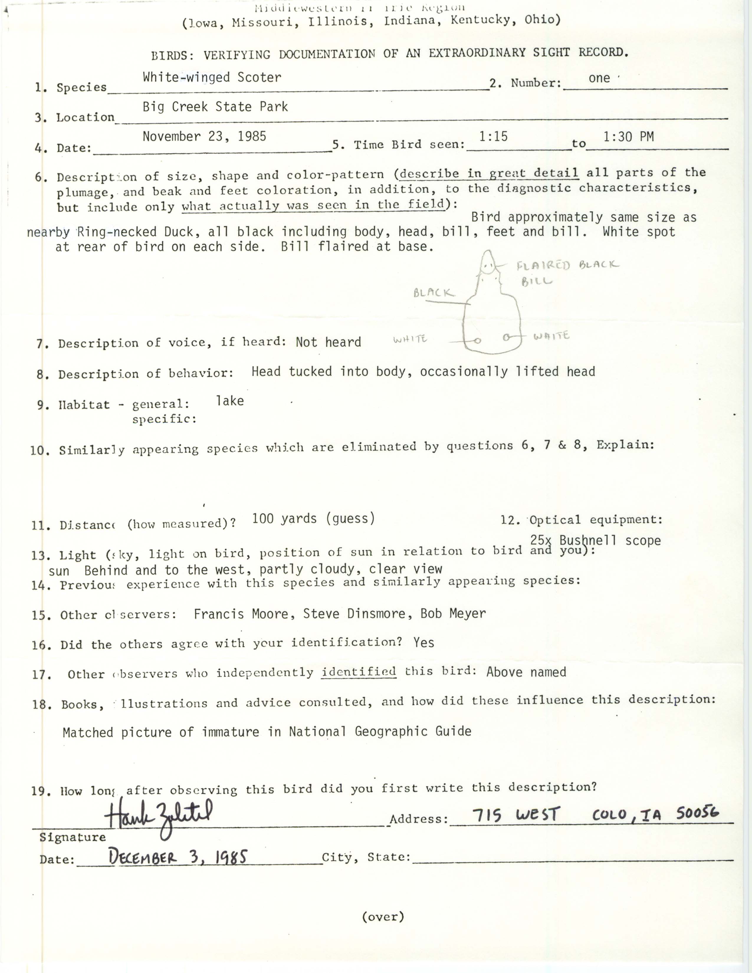 Rare bird documentation form for White-winged Scoter at Big Creek State Park, 1985