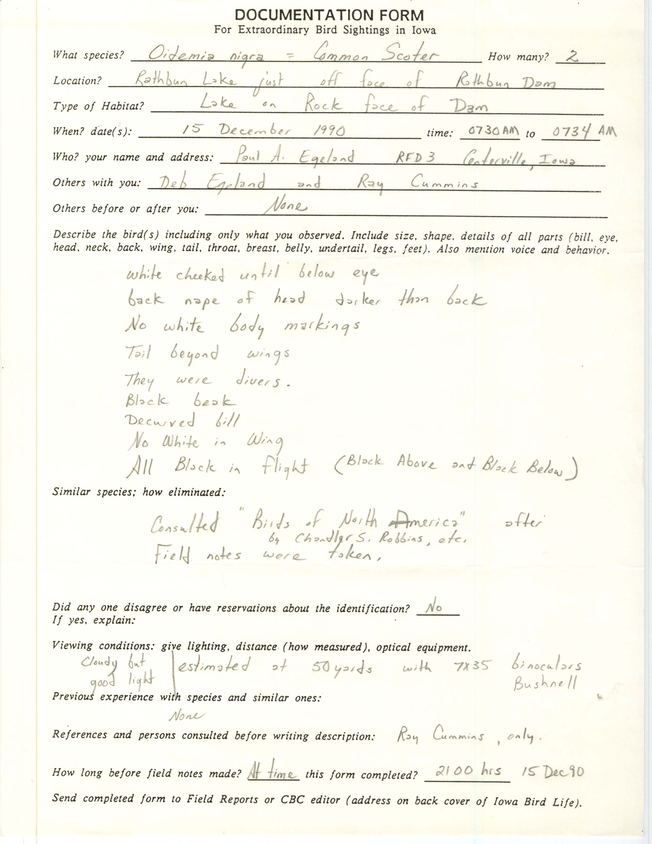 Rare bird documentation form for Black Scoter at Rathbun Lake, 1990