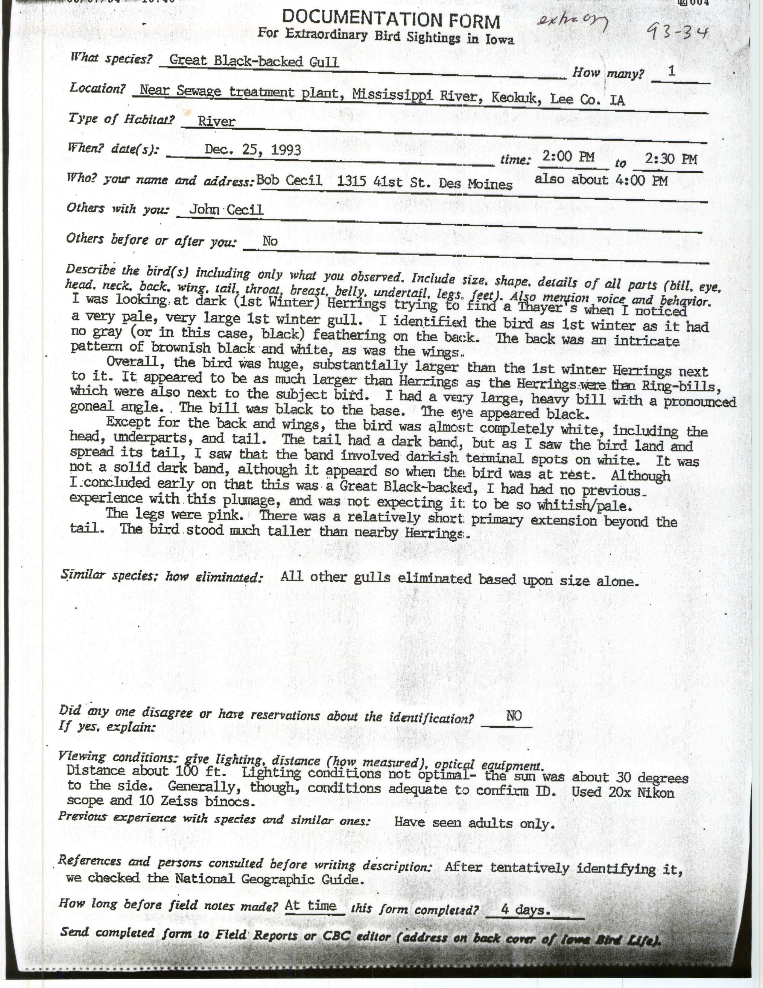 Rare bird documentation form for Great Black-backed Gull at Keokuk Wasterwater Plant, 1993