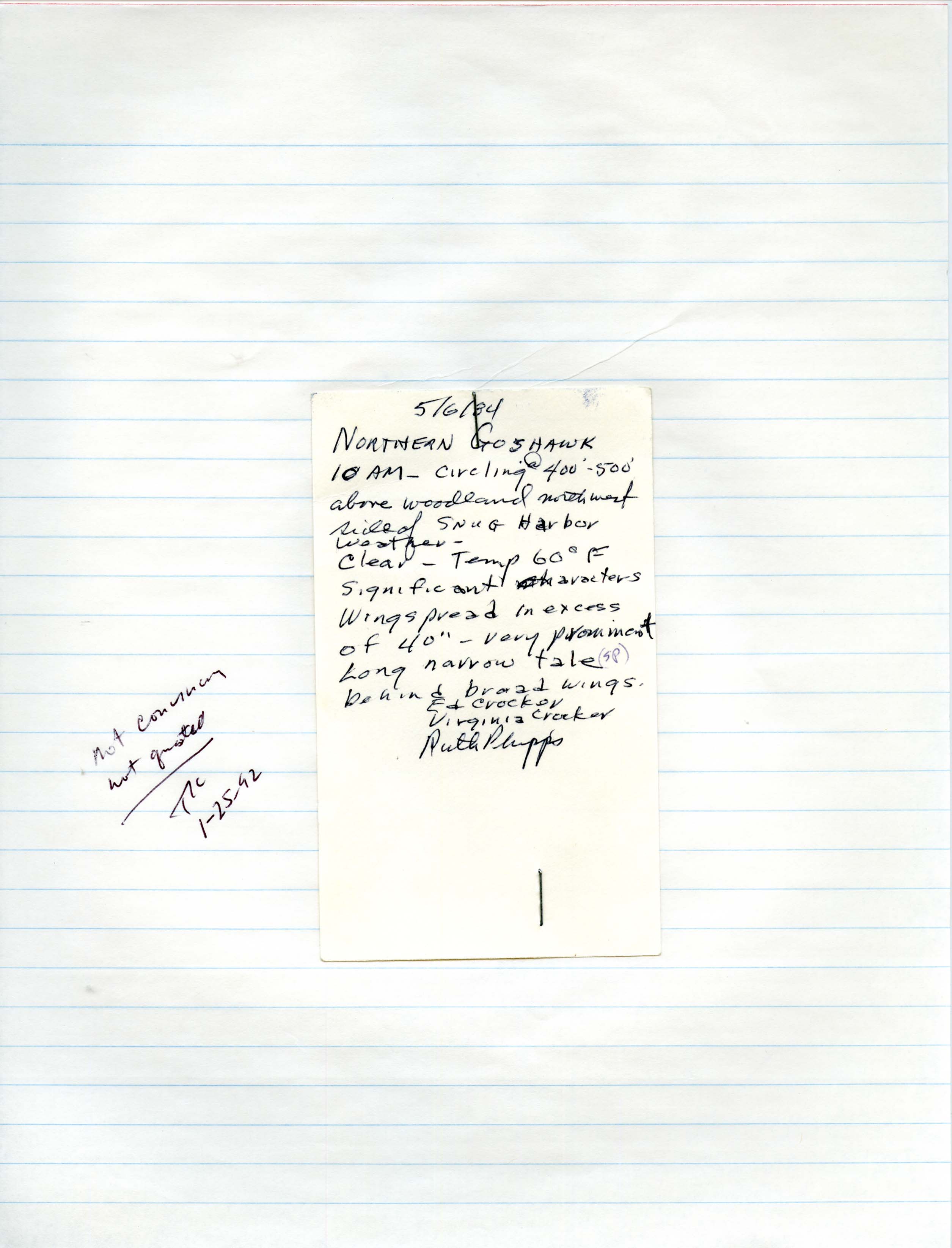 Note by Ruth Phipps detailing Northern Goshawk sighting, May 6, 1984