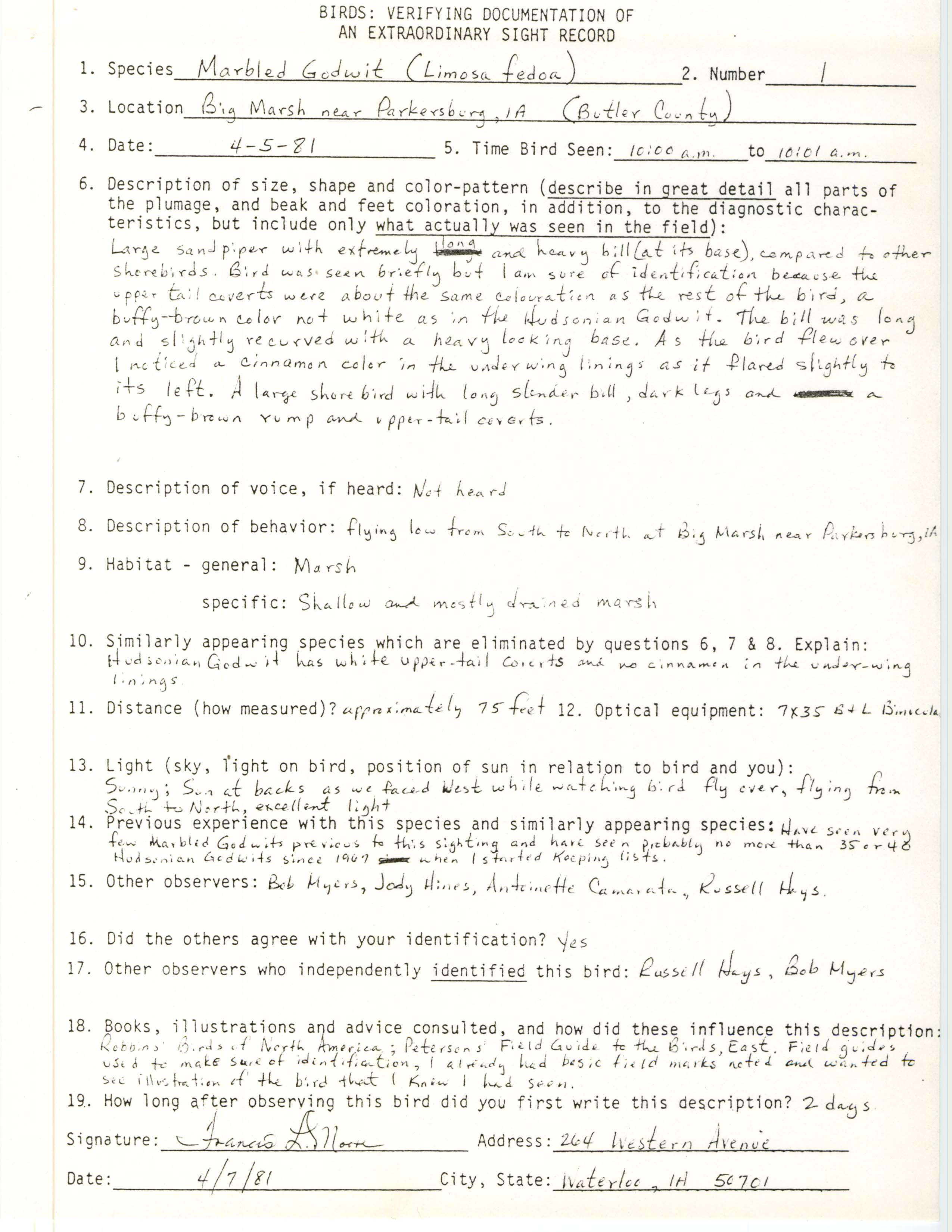 Rare bird documentation form for Marbled Godwit at Big Marsh near Parkersburg, 1981
