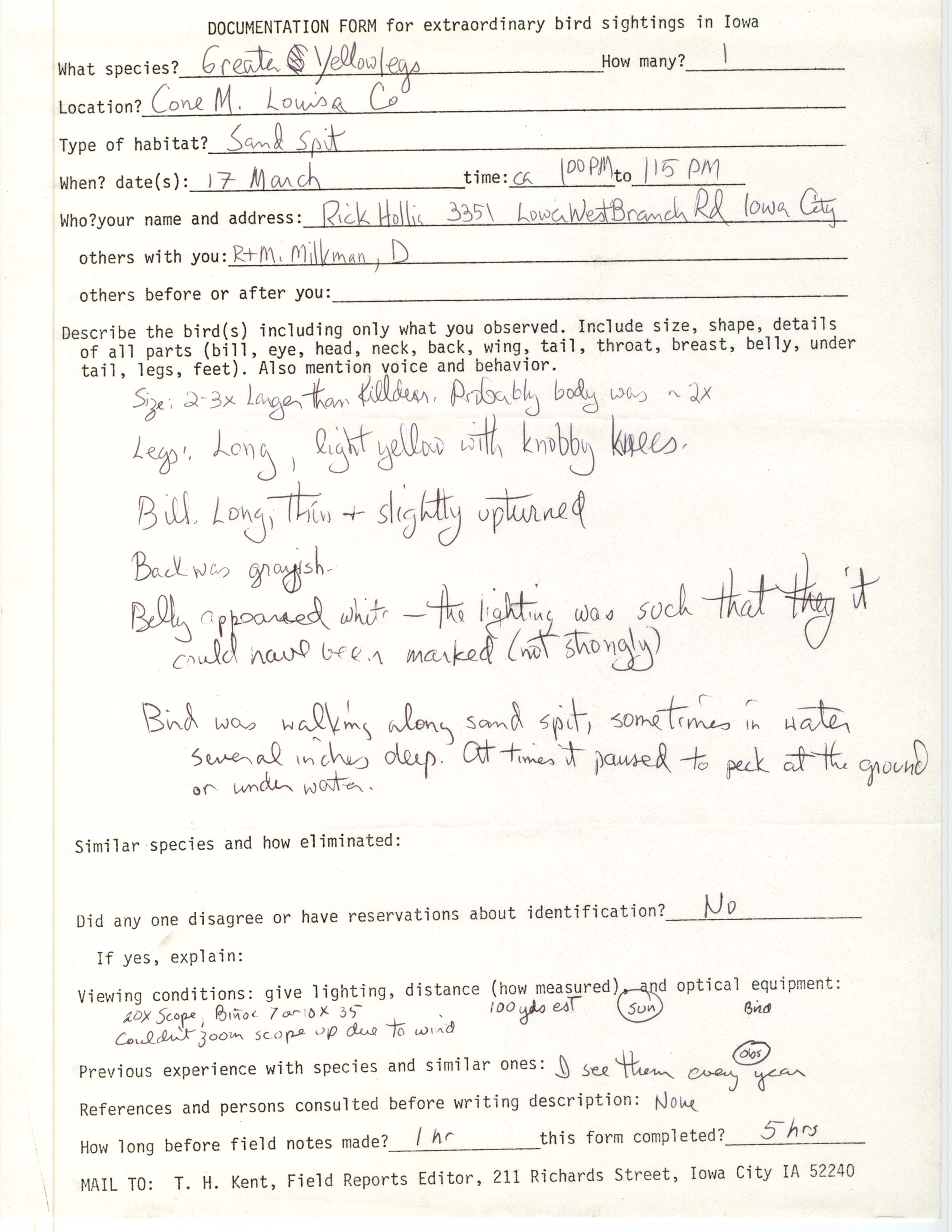 Rare bird documentation form for Greater Yellowlegs at Cone Marsh, unknown year 