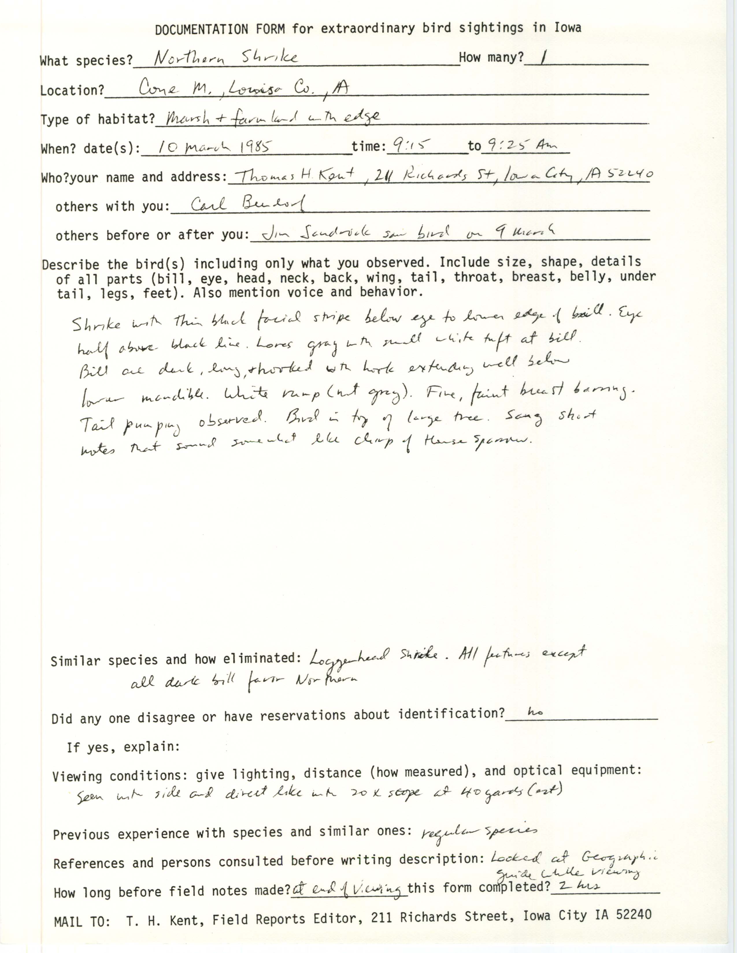 Rare bird documentation form for Northern Shrike at Cone Marsh, 1985