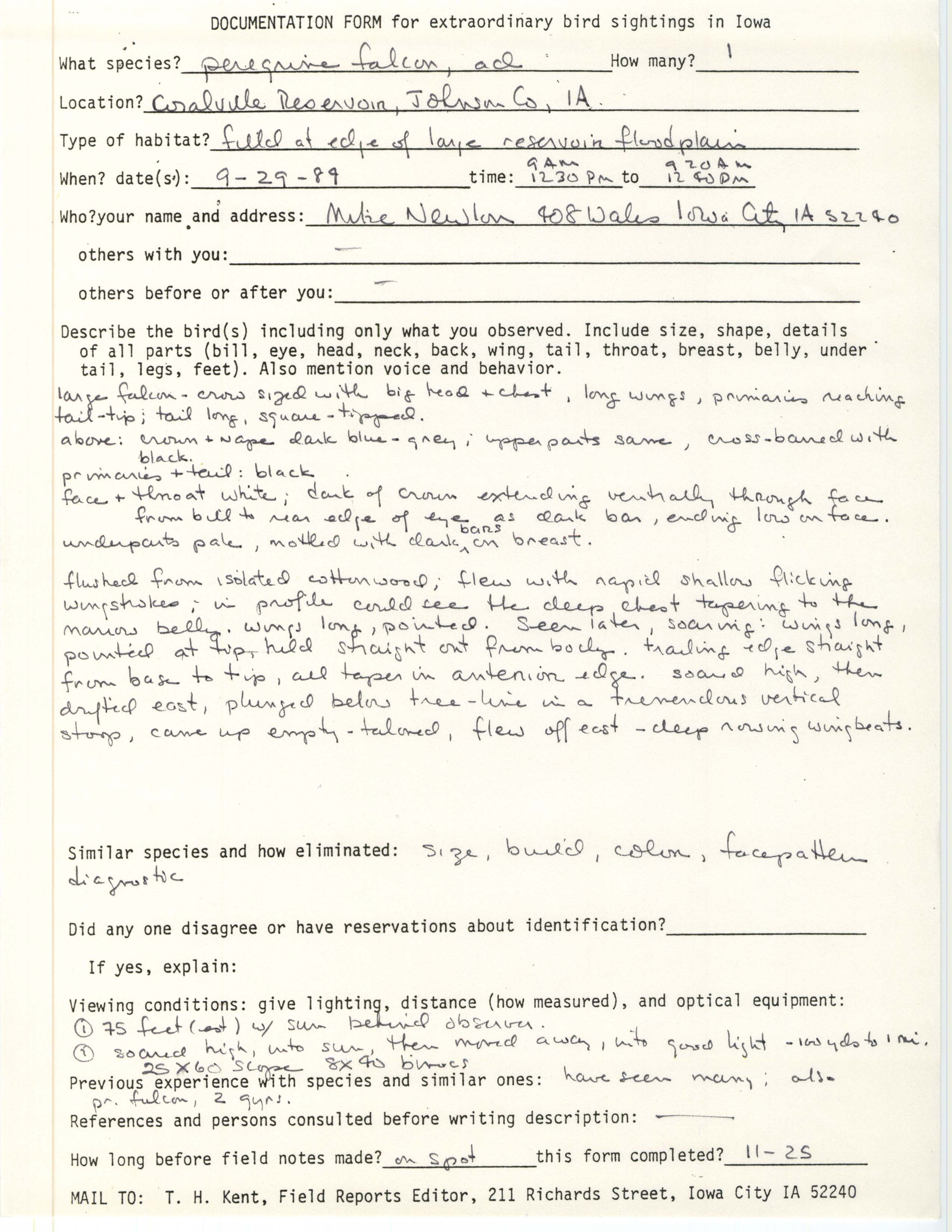Rare bird documentation form for Peregrine Falcon at Coralville Reservoir, 1989